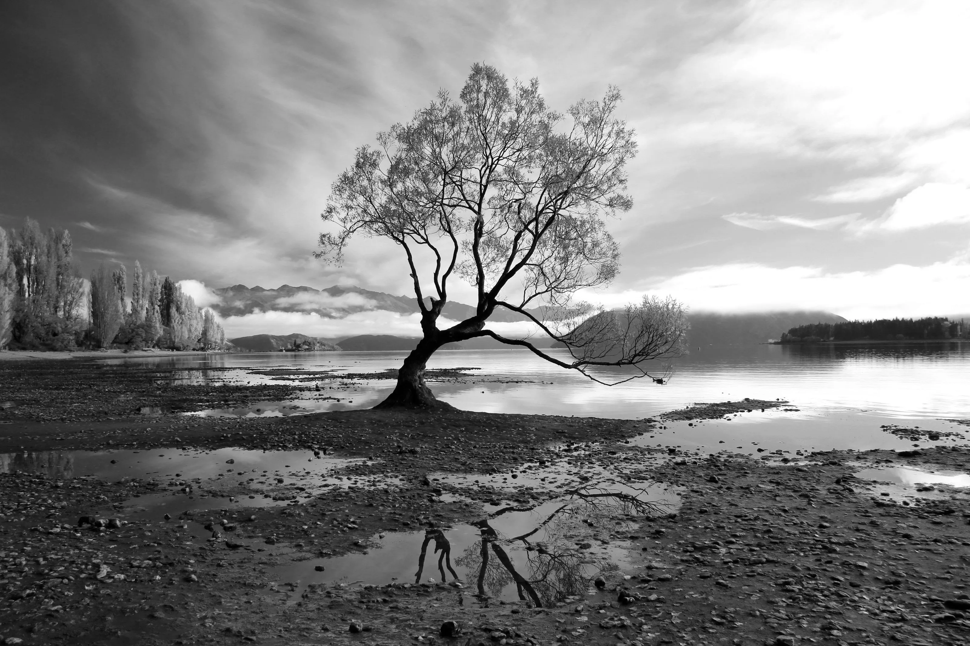 Nature in Black and White