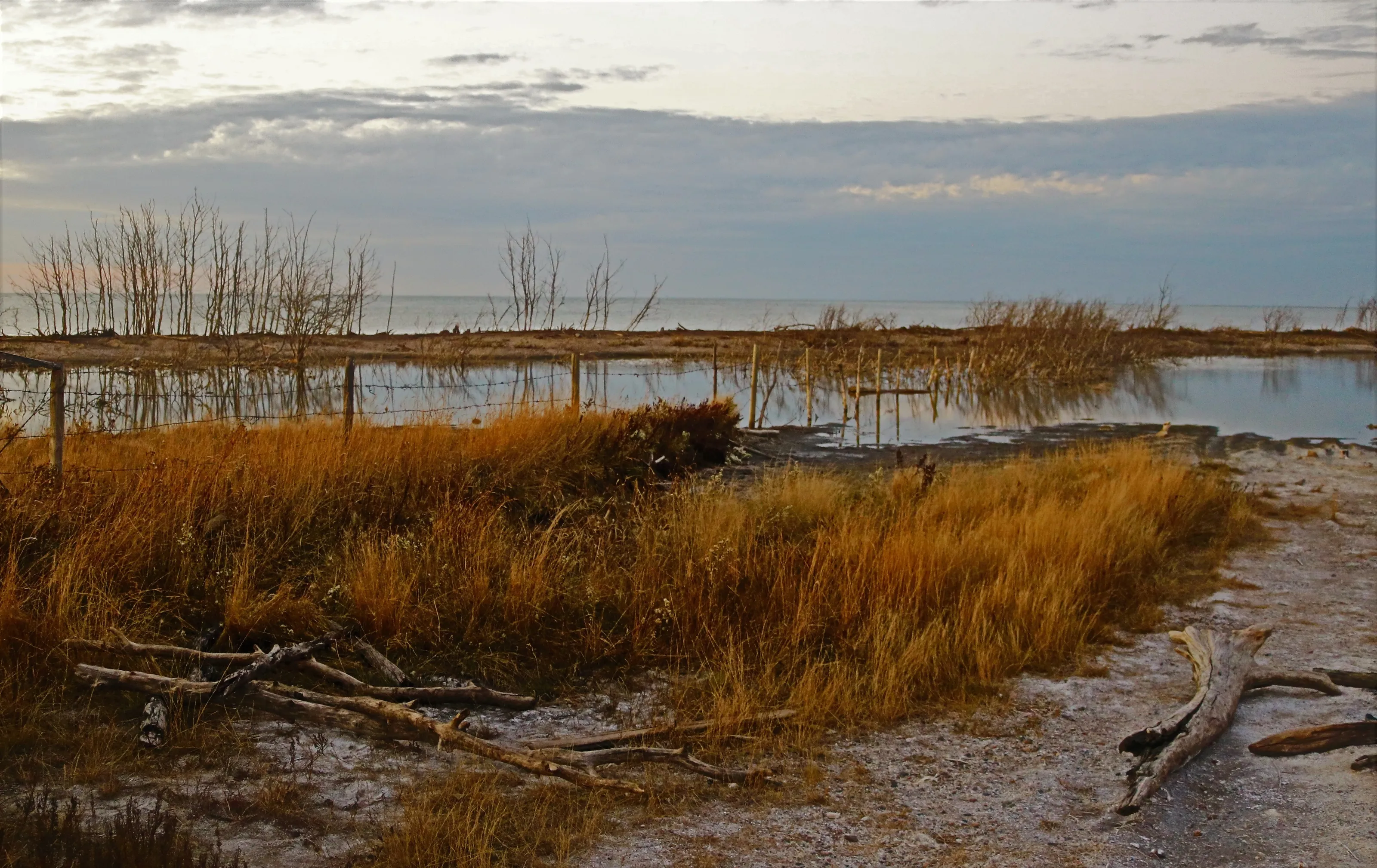Wetlands in Colour (no animals or people)