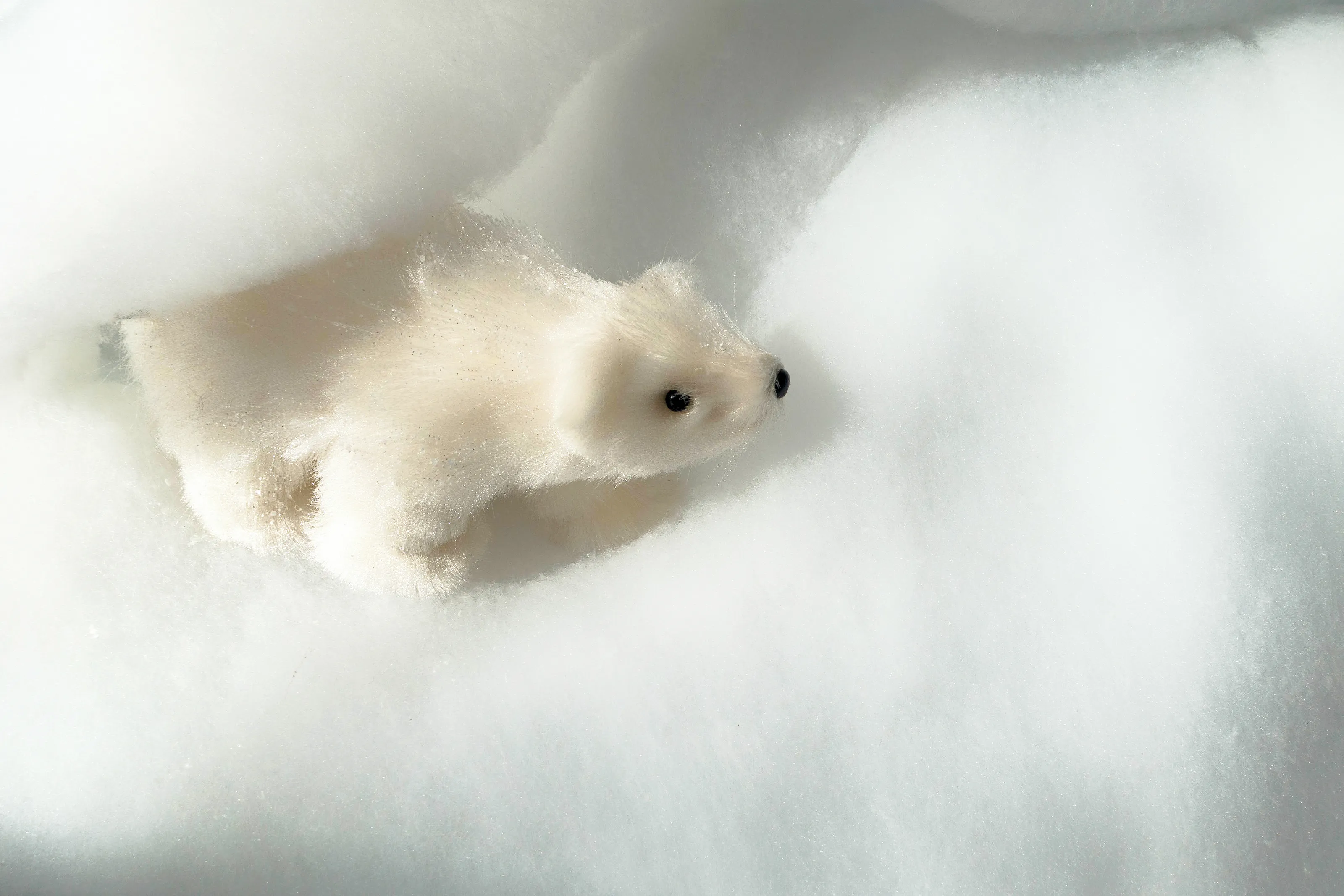 Toys in Unusual Places
