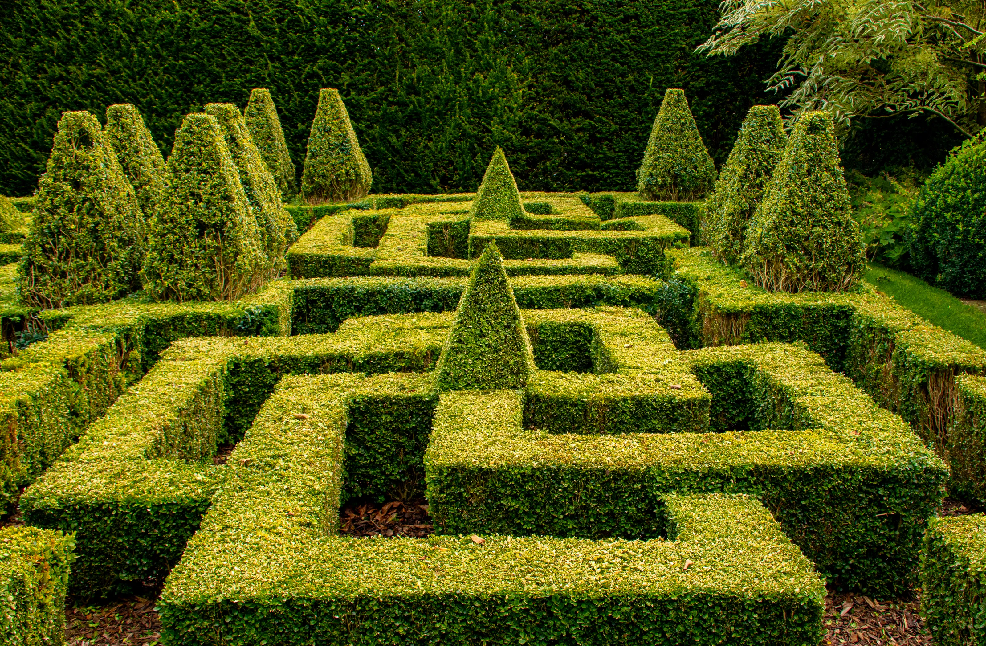 Gardens and Gardening