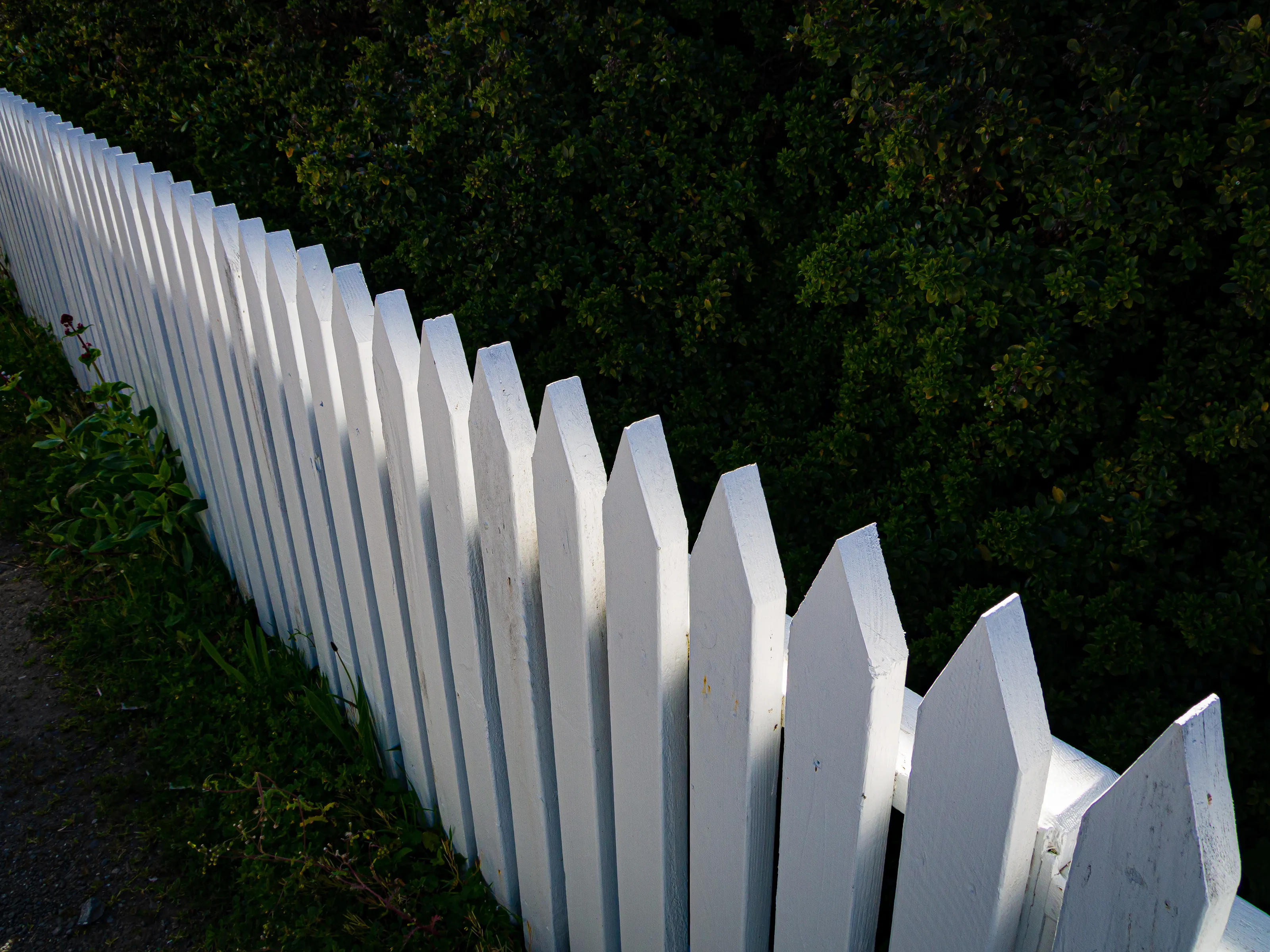 Picket Fences