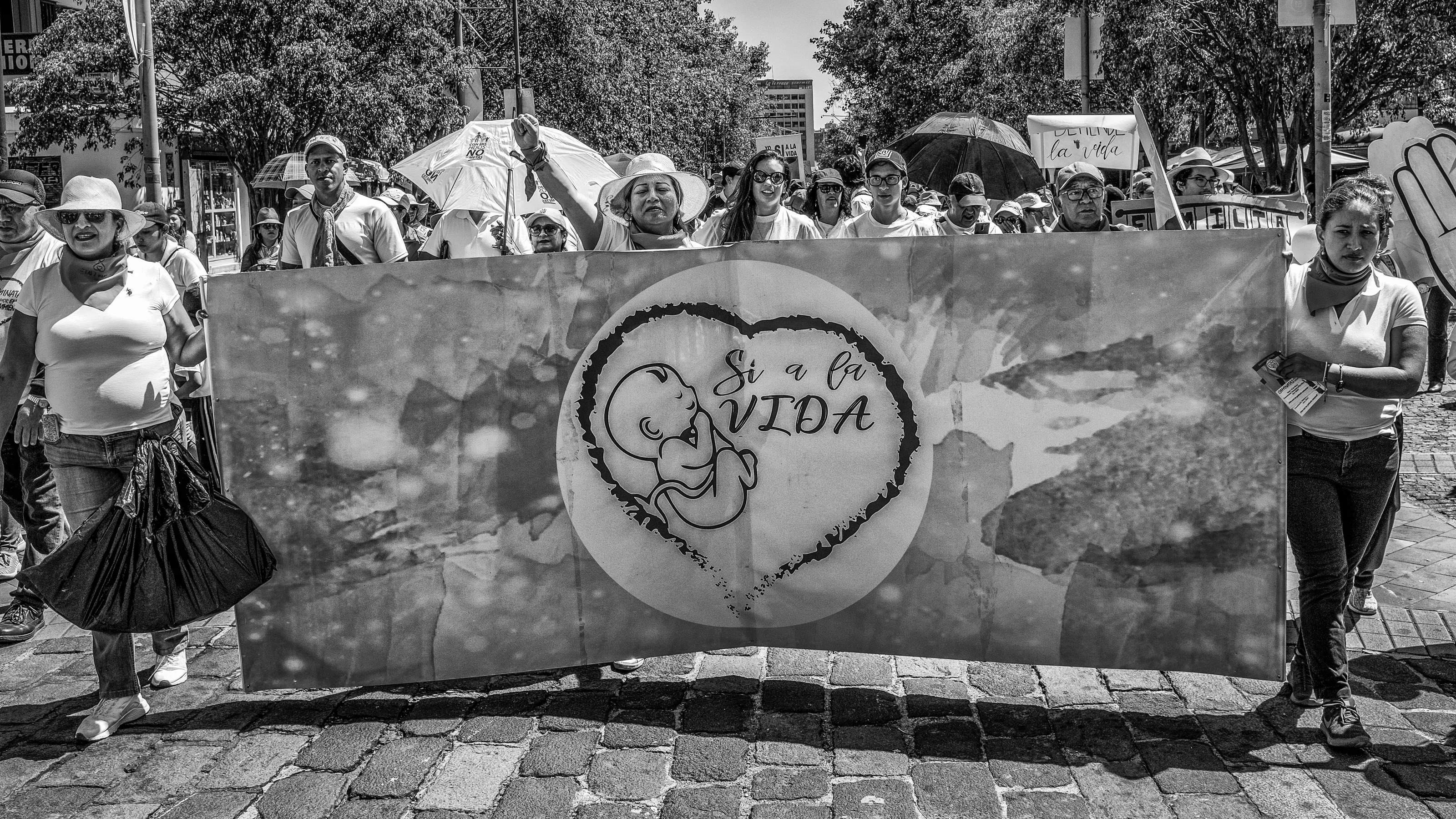 Public Demonstrations in Black and White