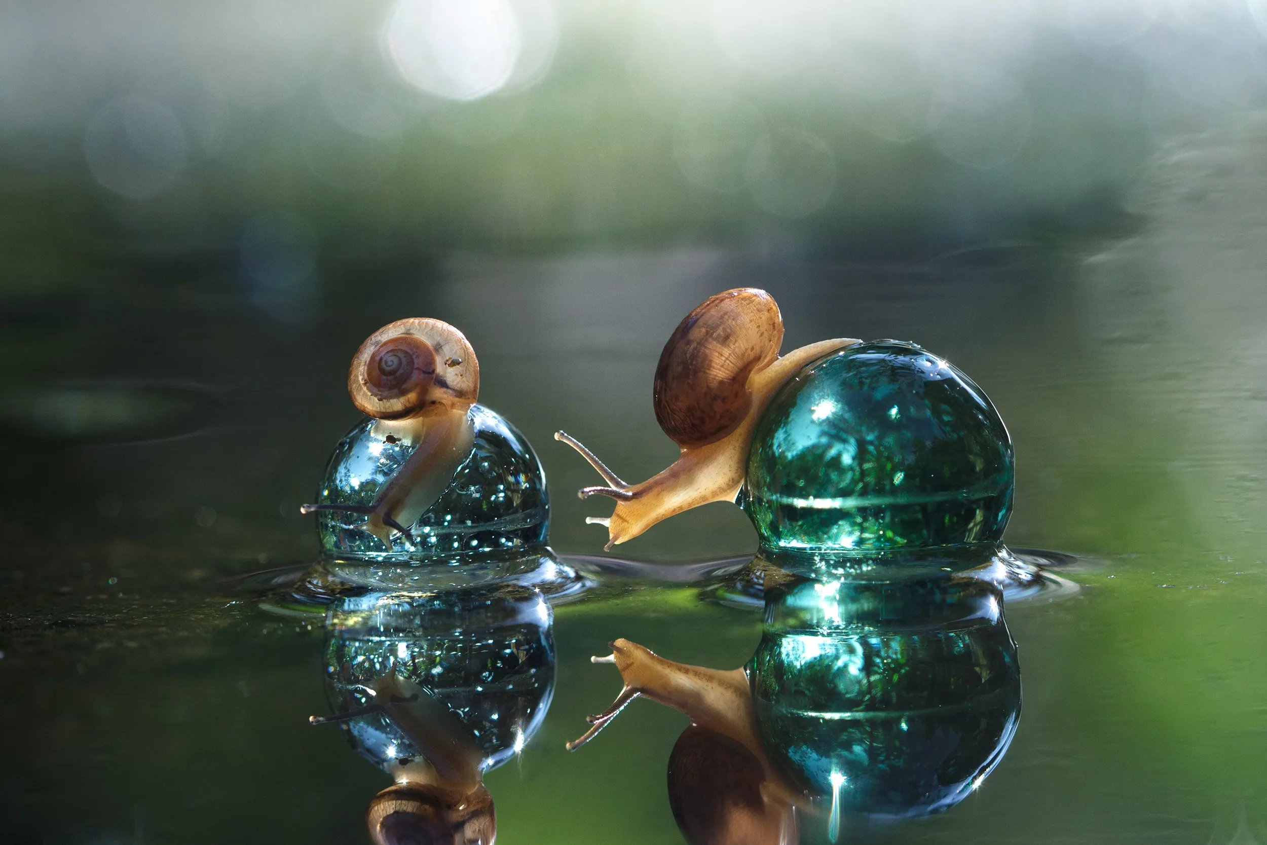 Marbles