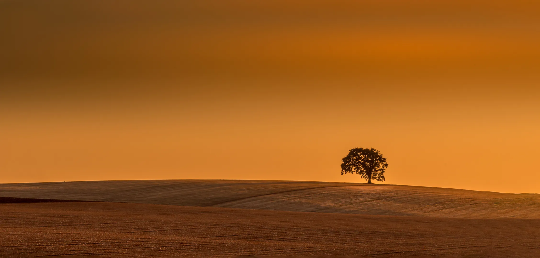 Minimalist Landscapes