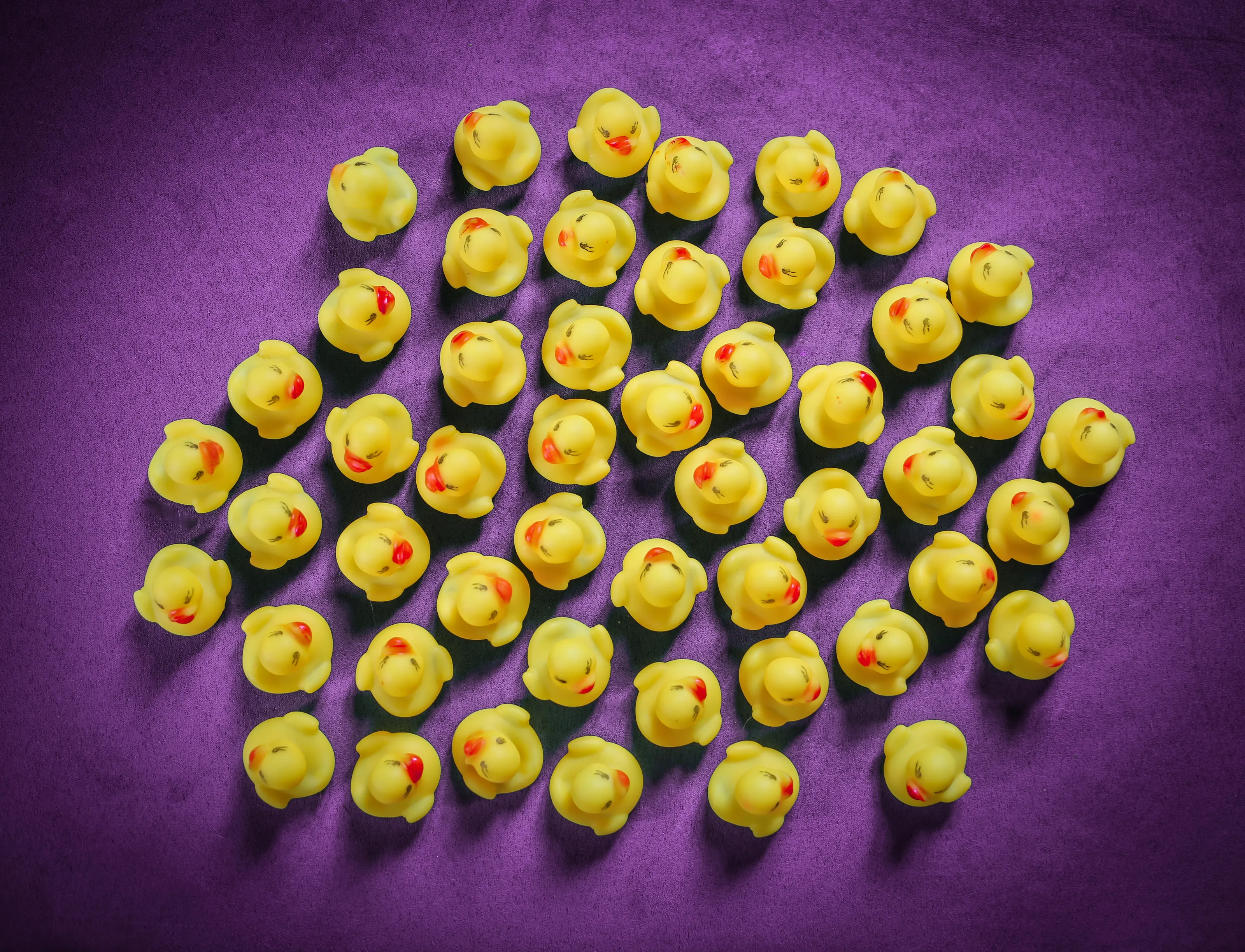 The Colours Purple and Yellow