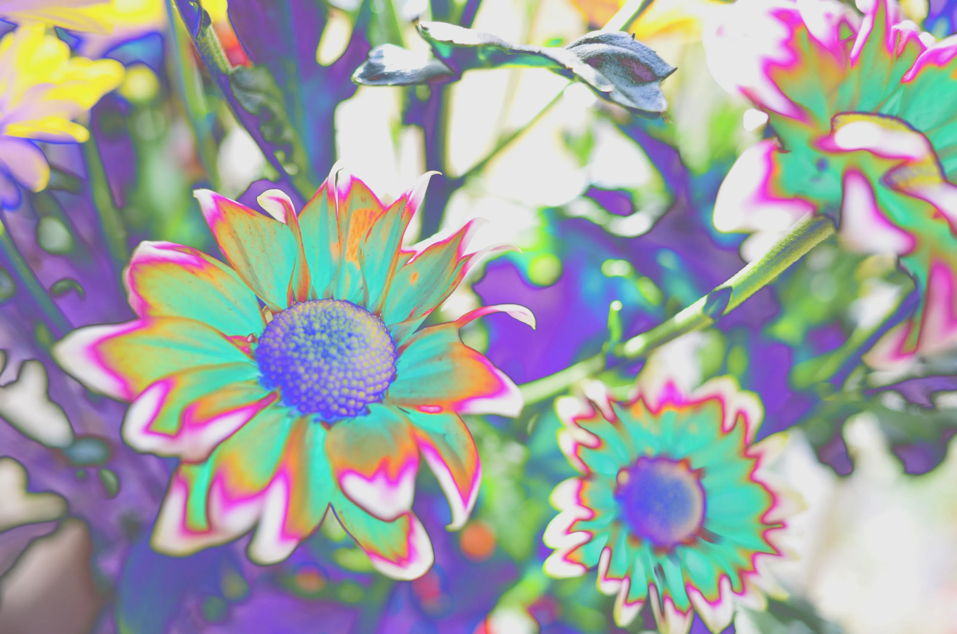 Psychedelic Photo Edits