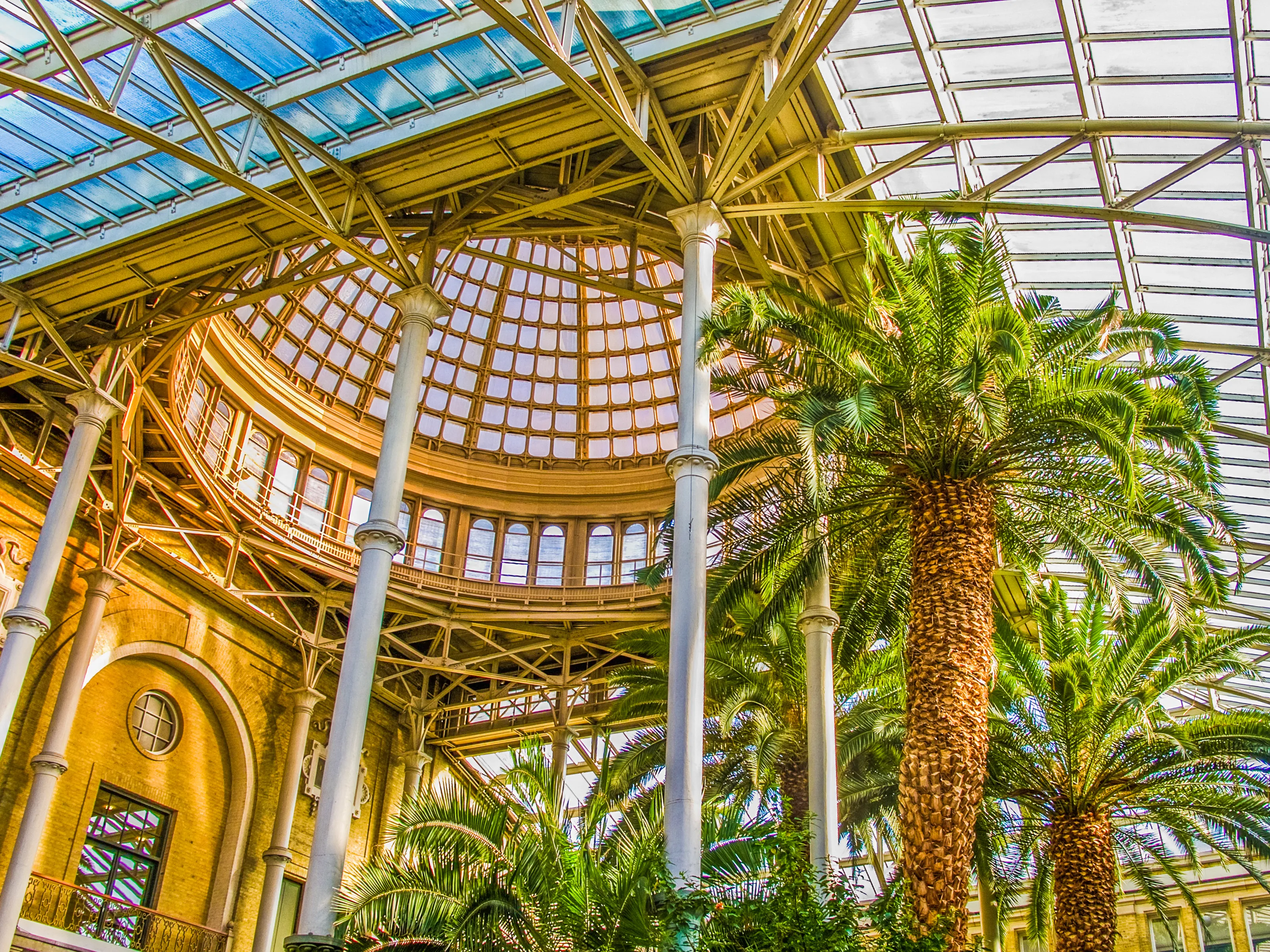 Conservatories and Greenhouses From The Inside