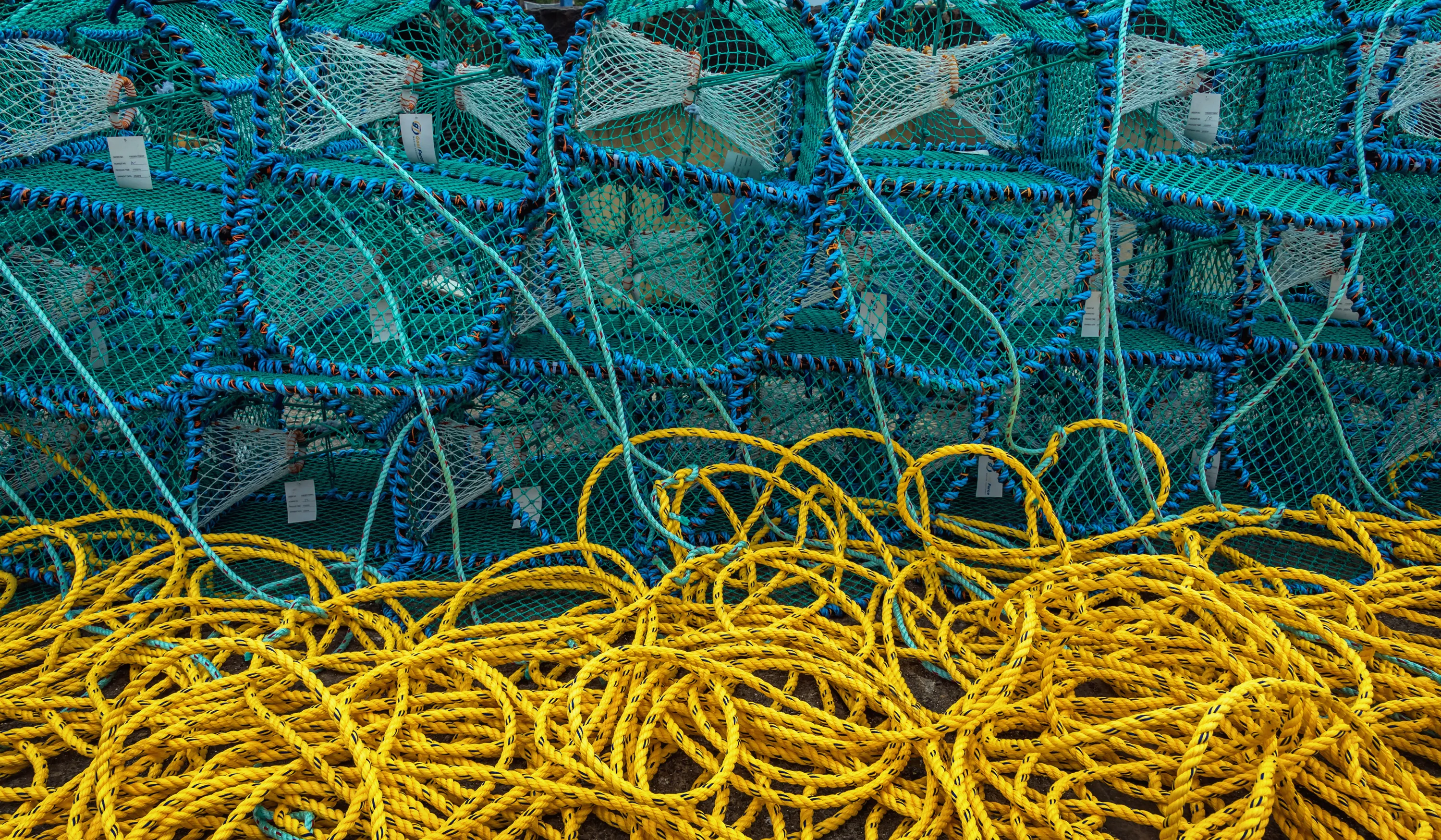 Rope, String and Cord
