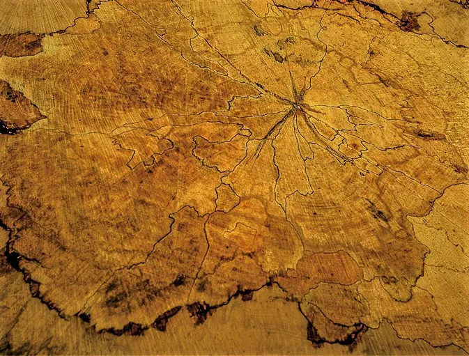 Inside a Natural Object