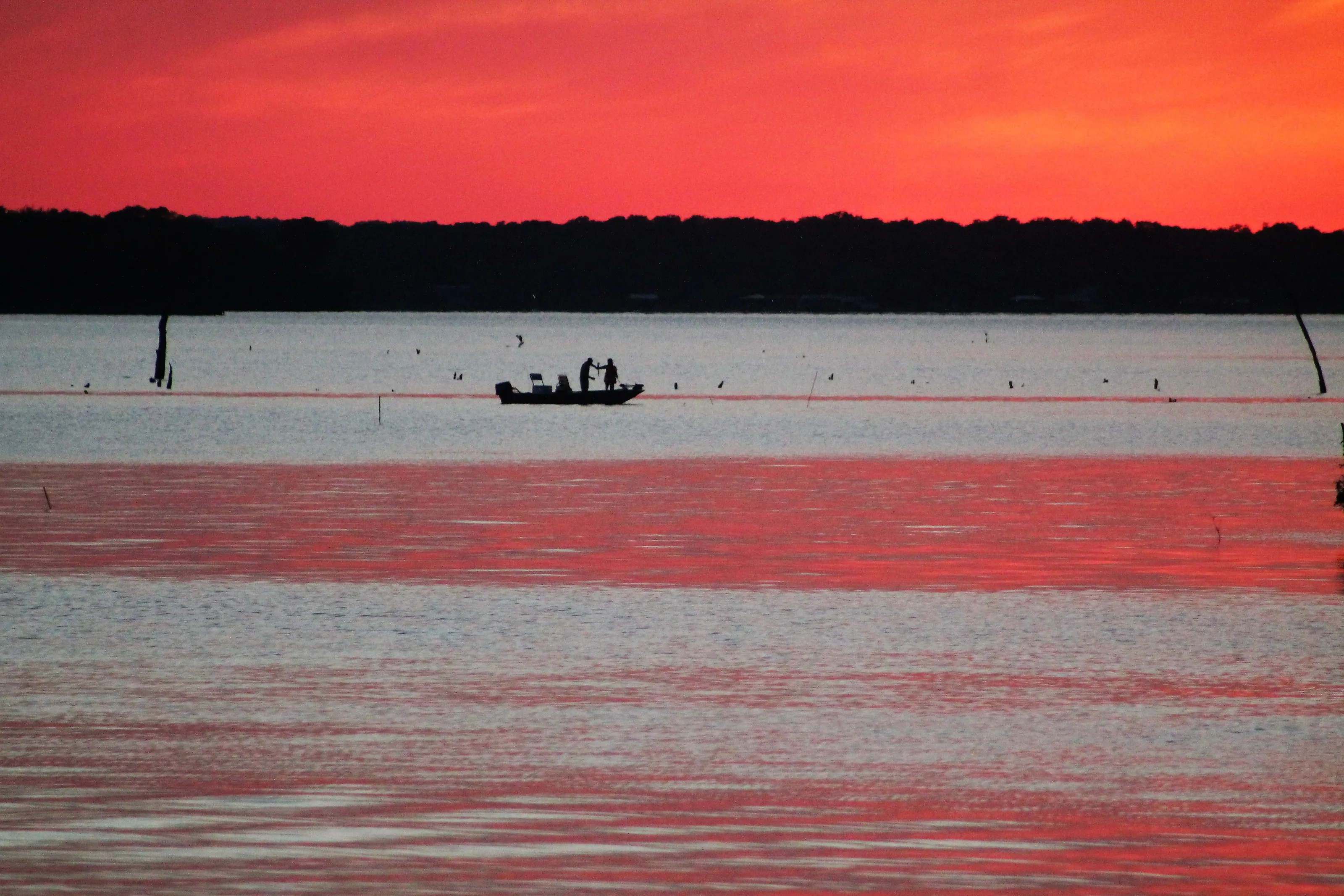 The Colour Red In Nature