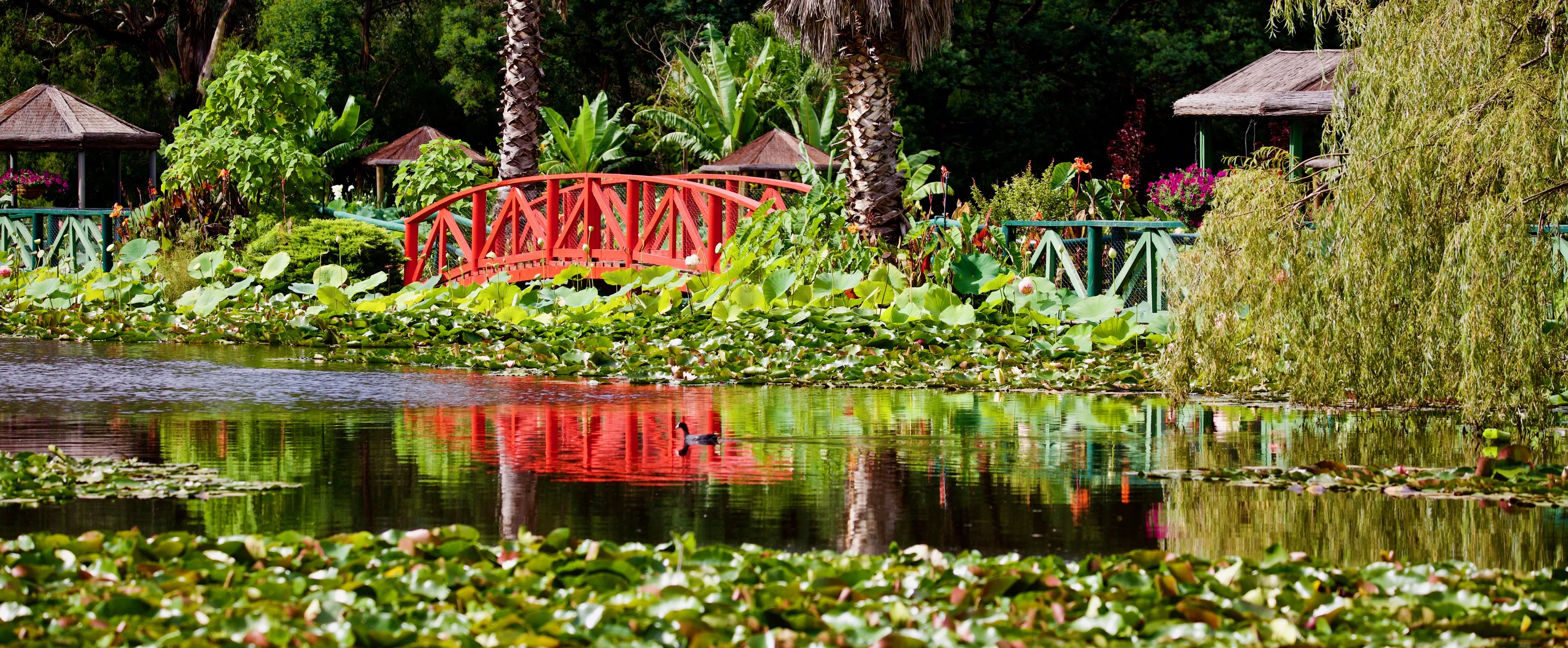 Garden Structures