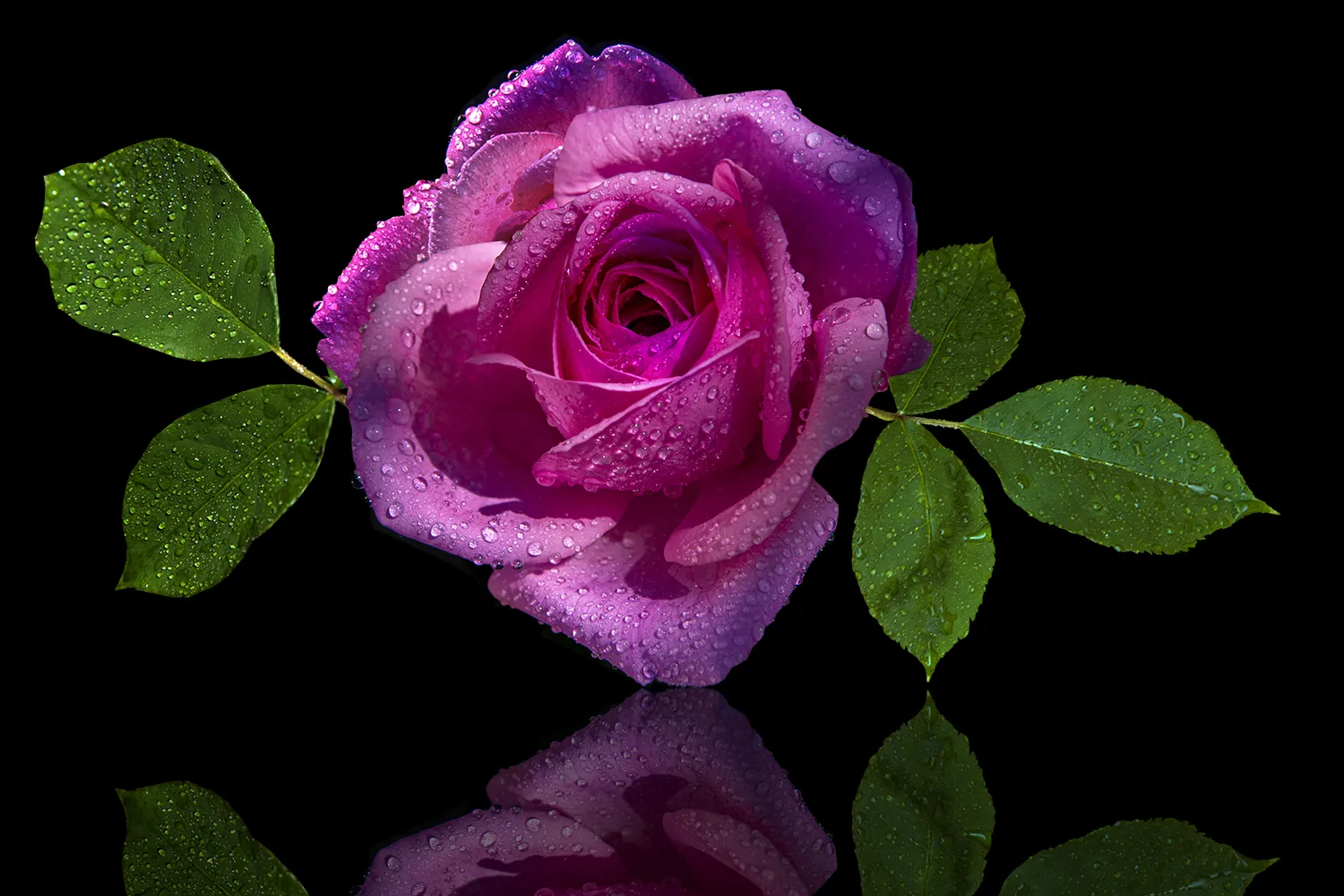 Beauty