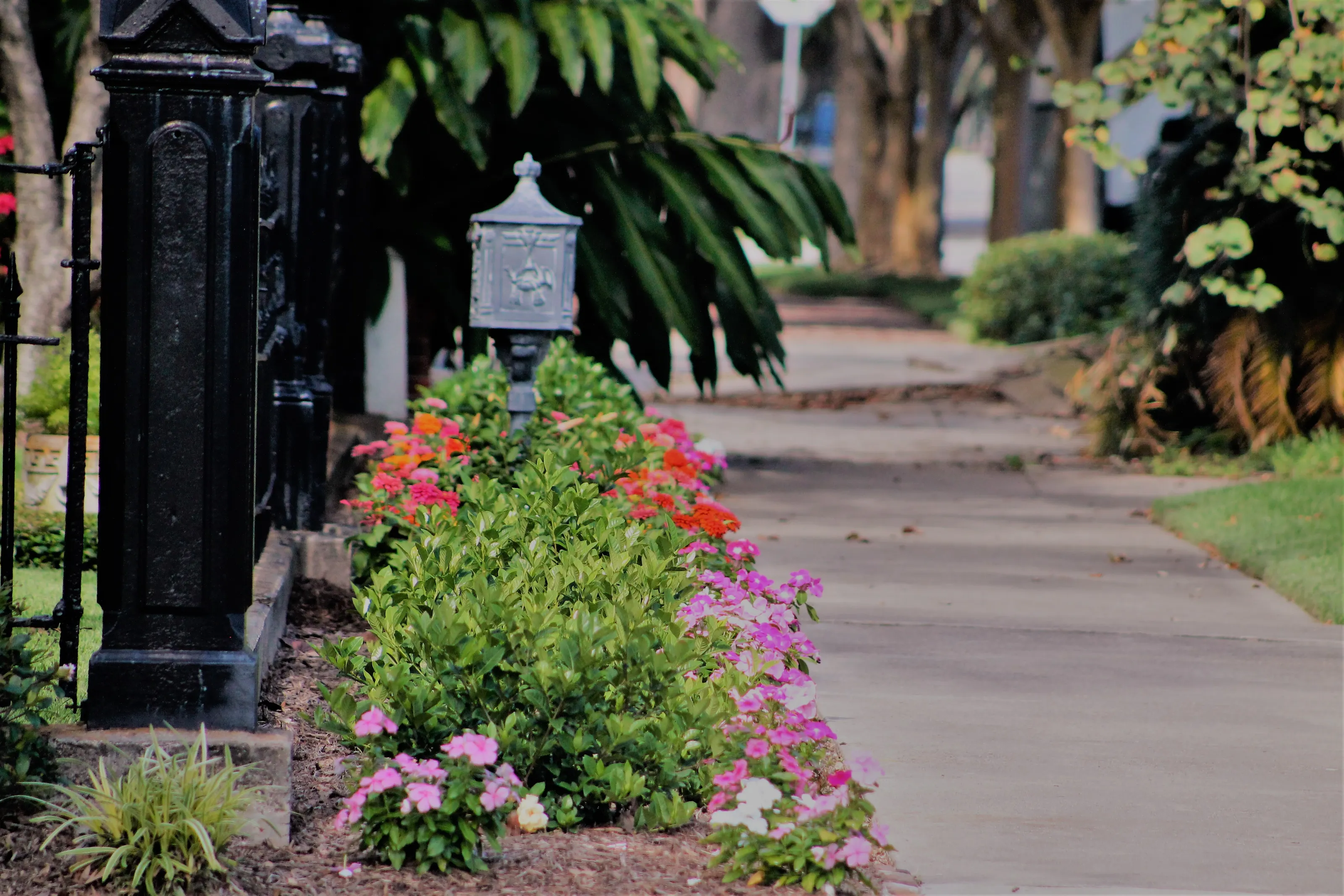 Attractive Sidewalks and Pavements in Colour