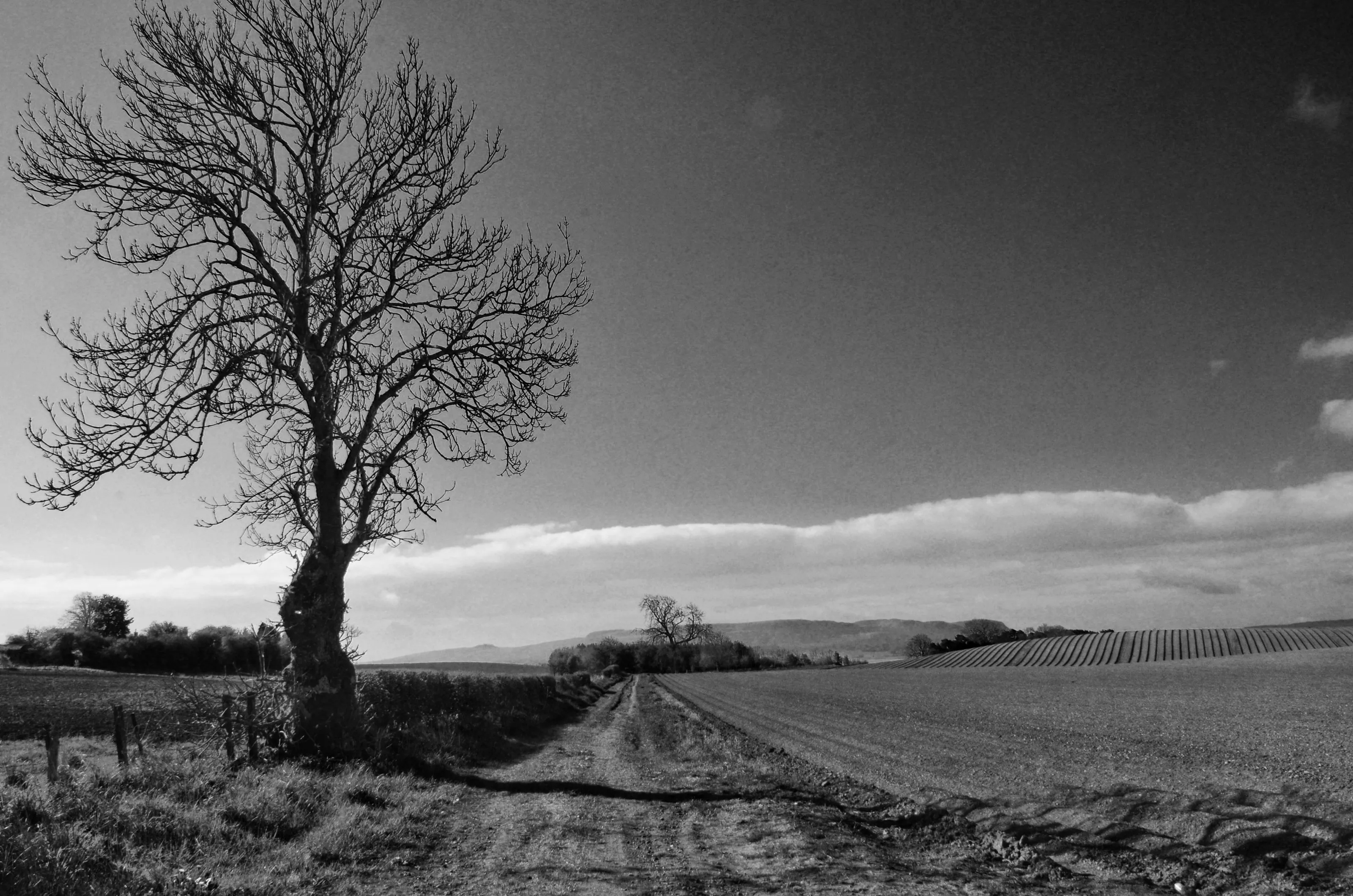 Rule of Thirds
