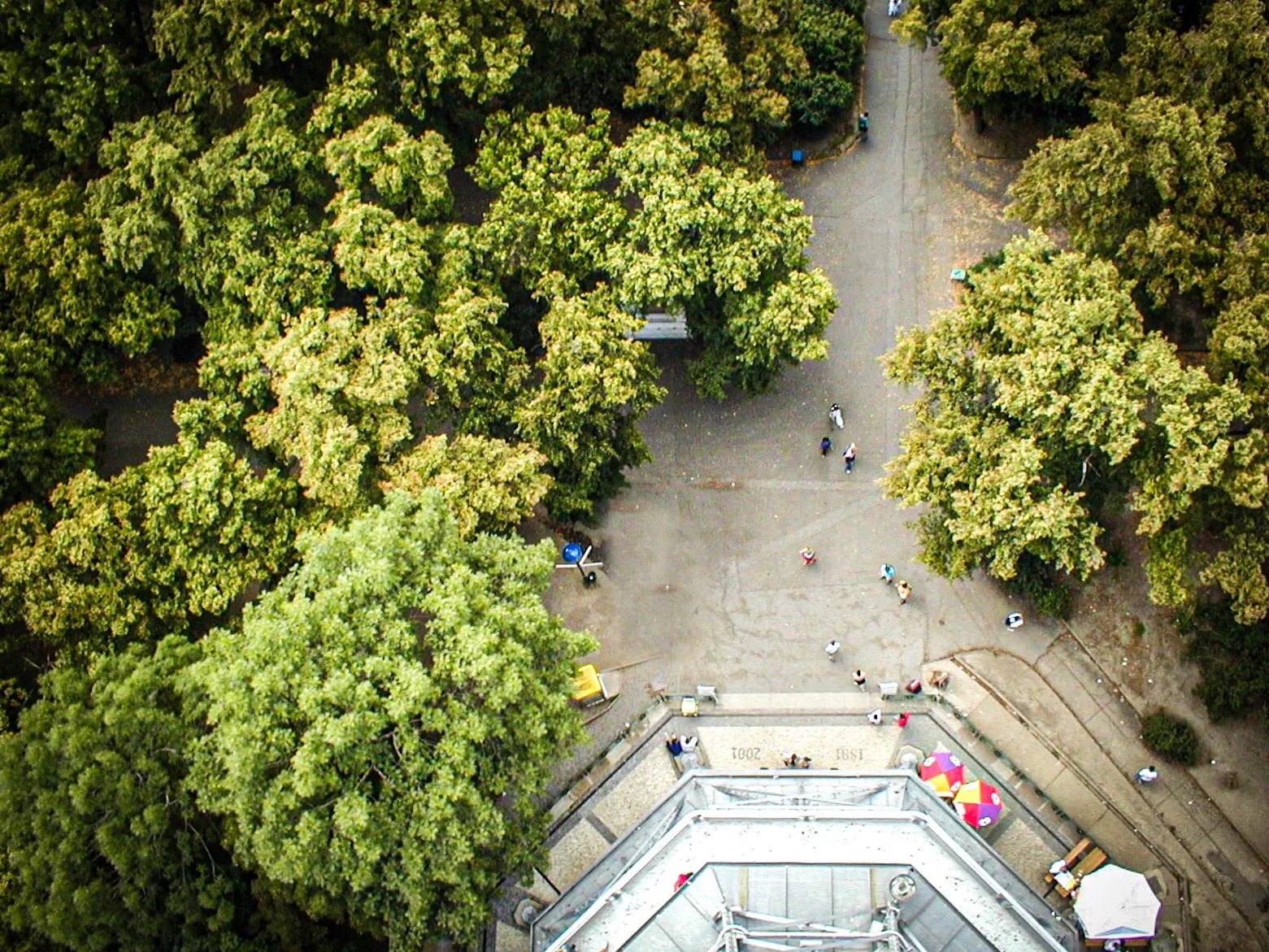 The View Below