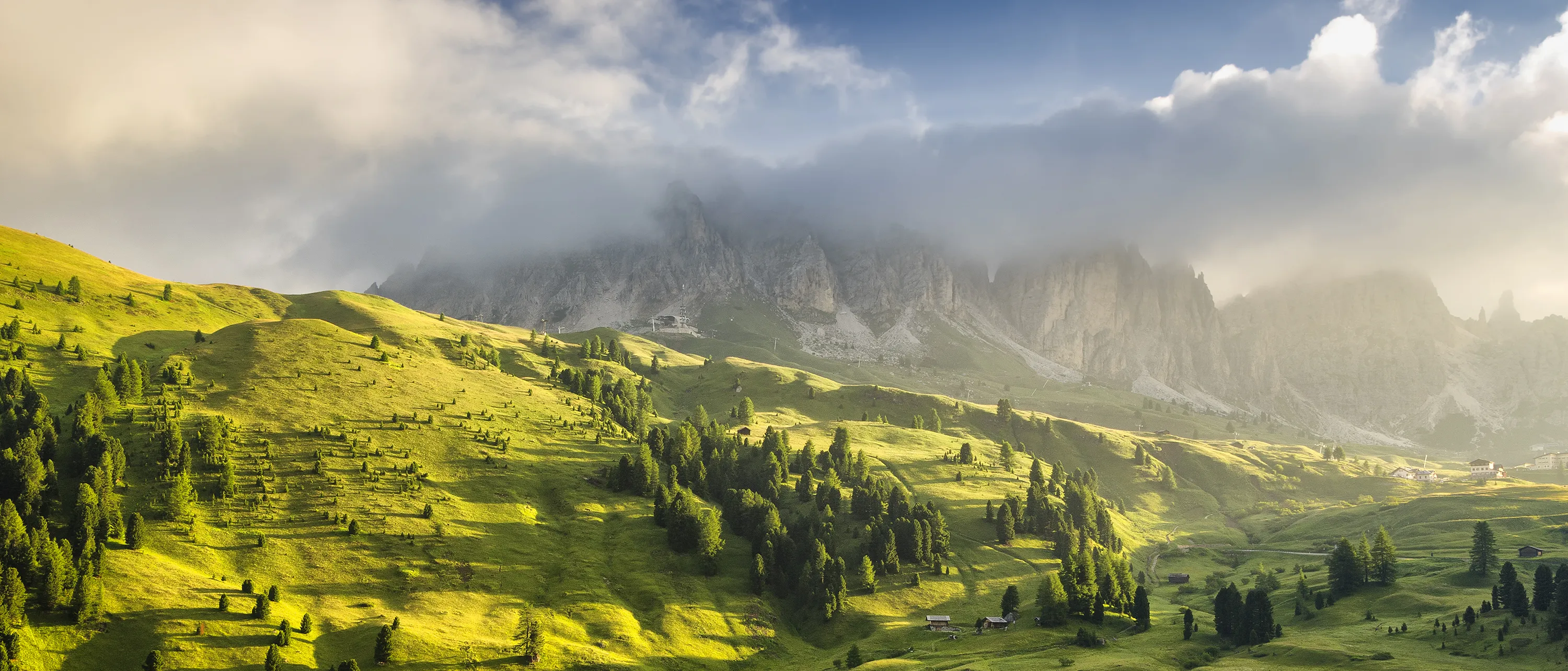 Summer landscapes