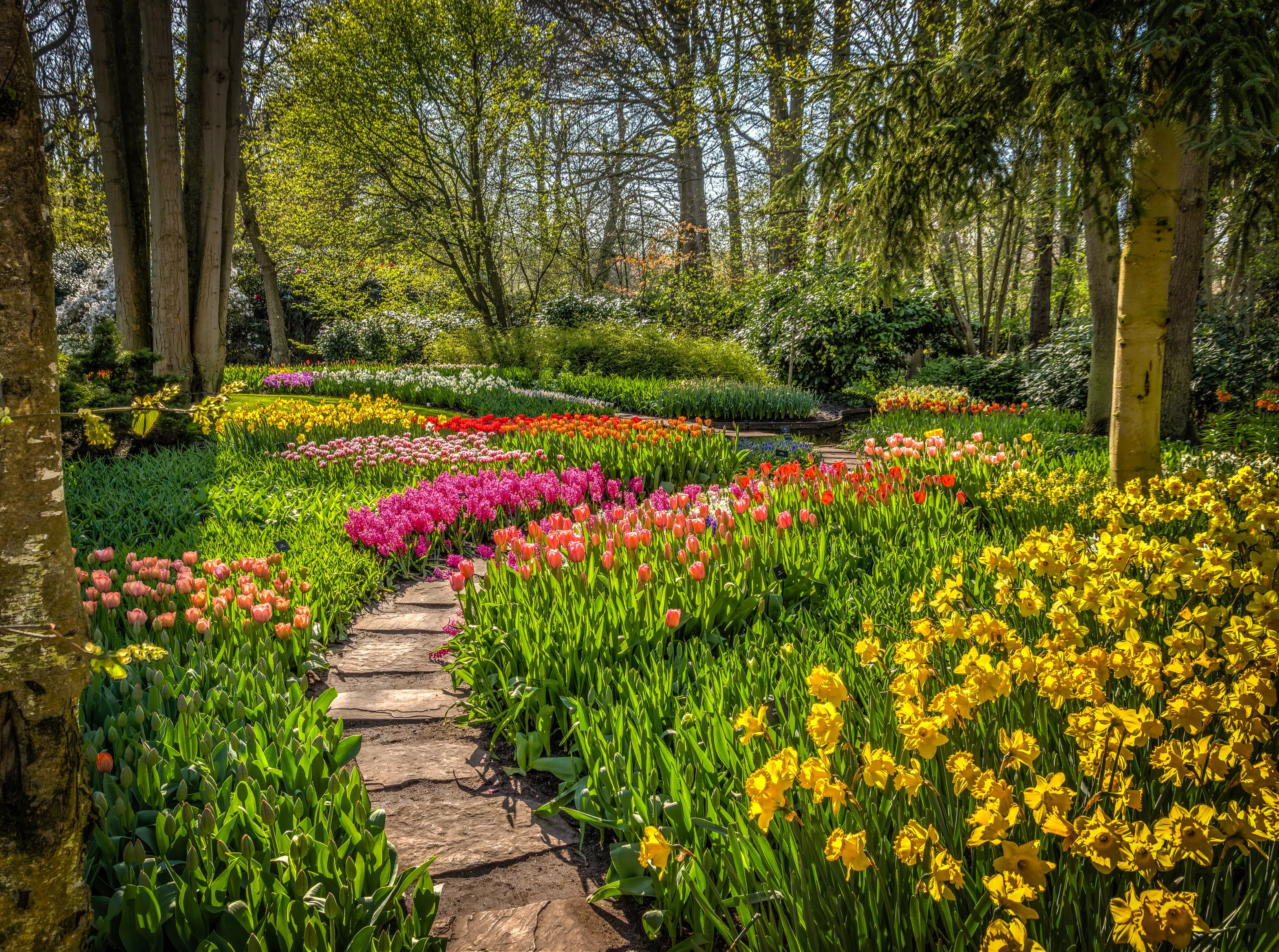 Flower Gardens