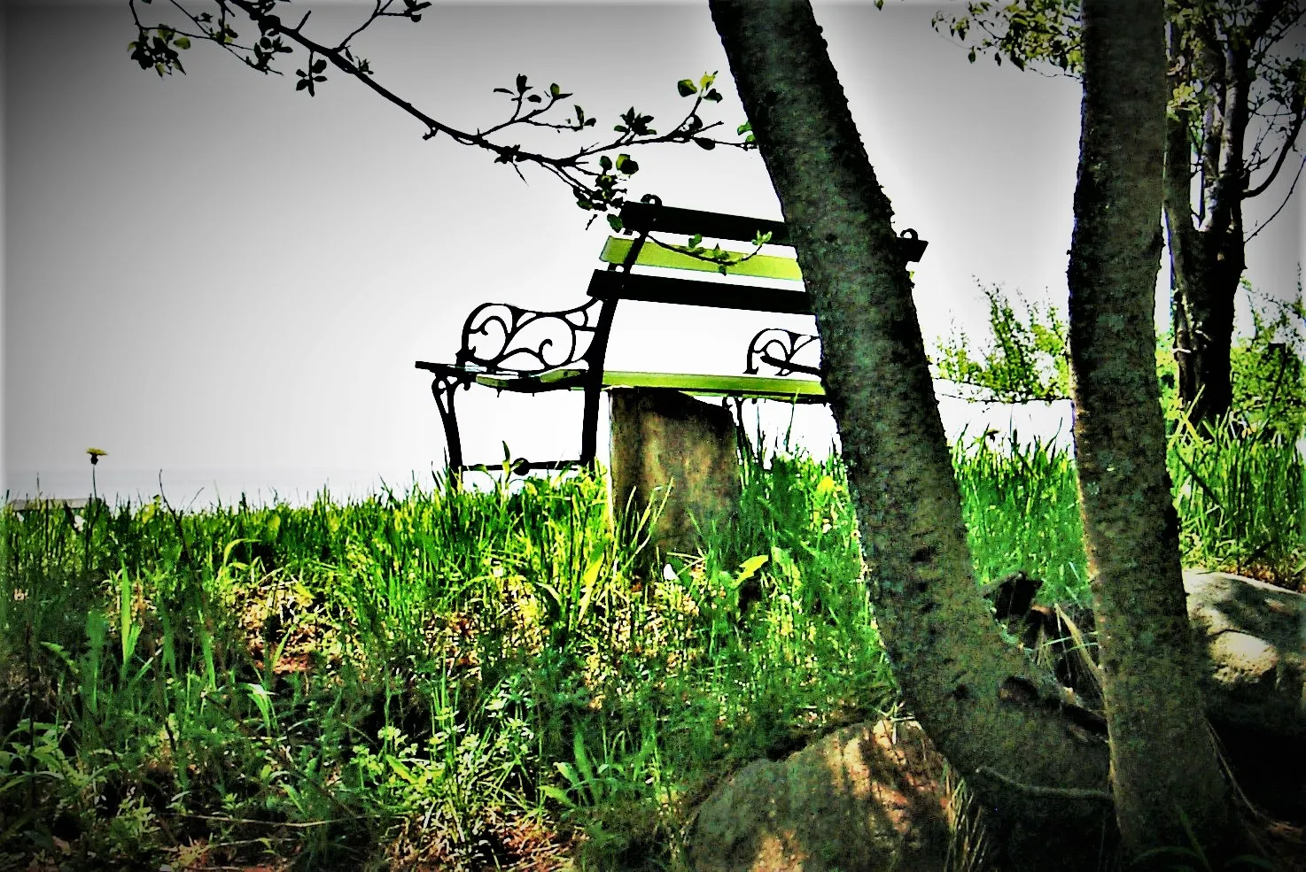 Unusual Outdoor Furniture (in colour)