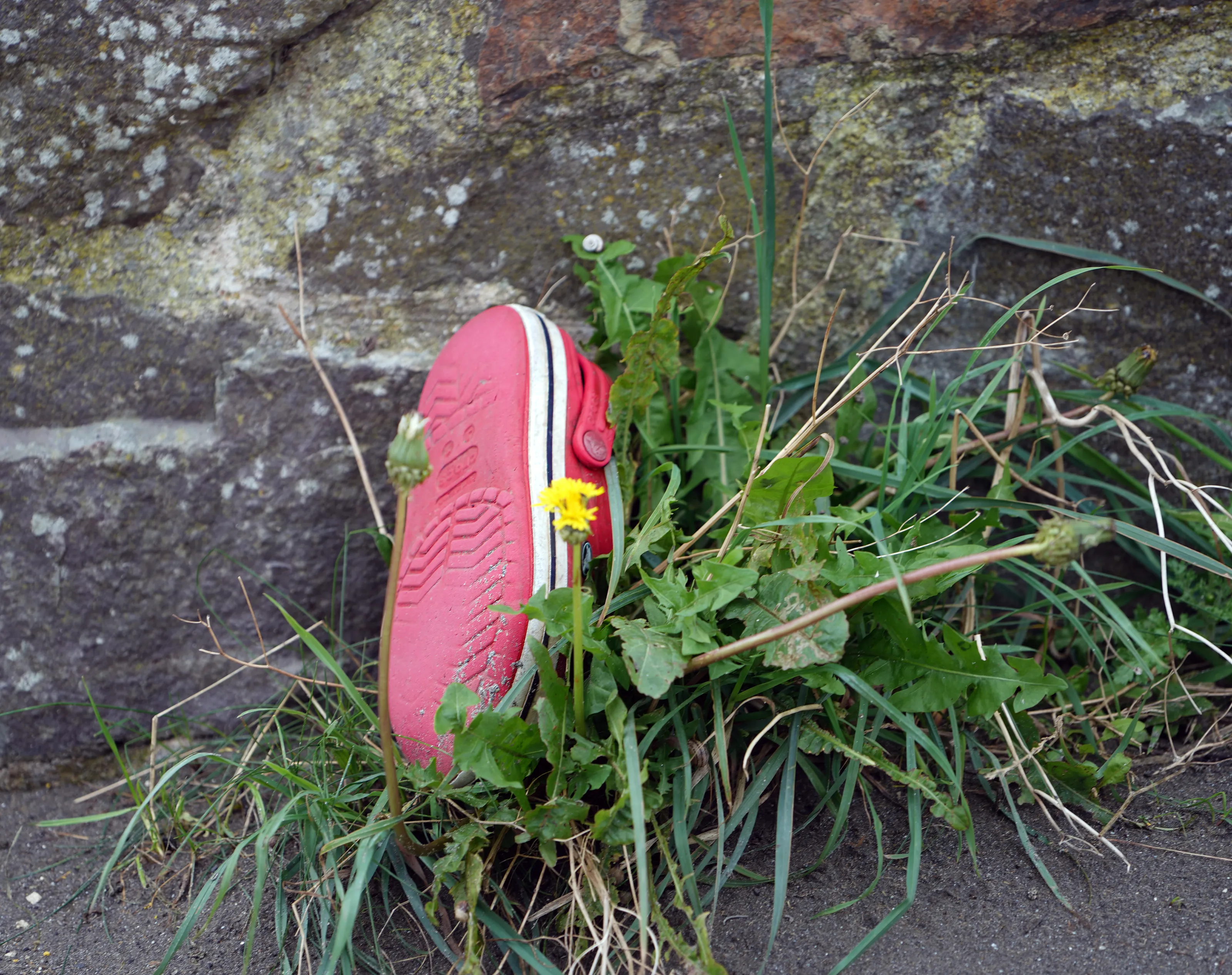 Forgotten Items