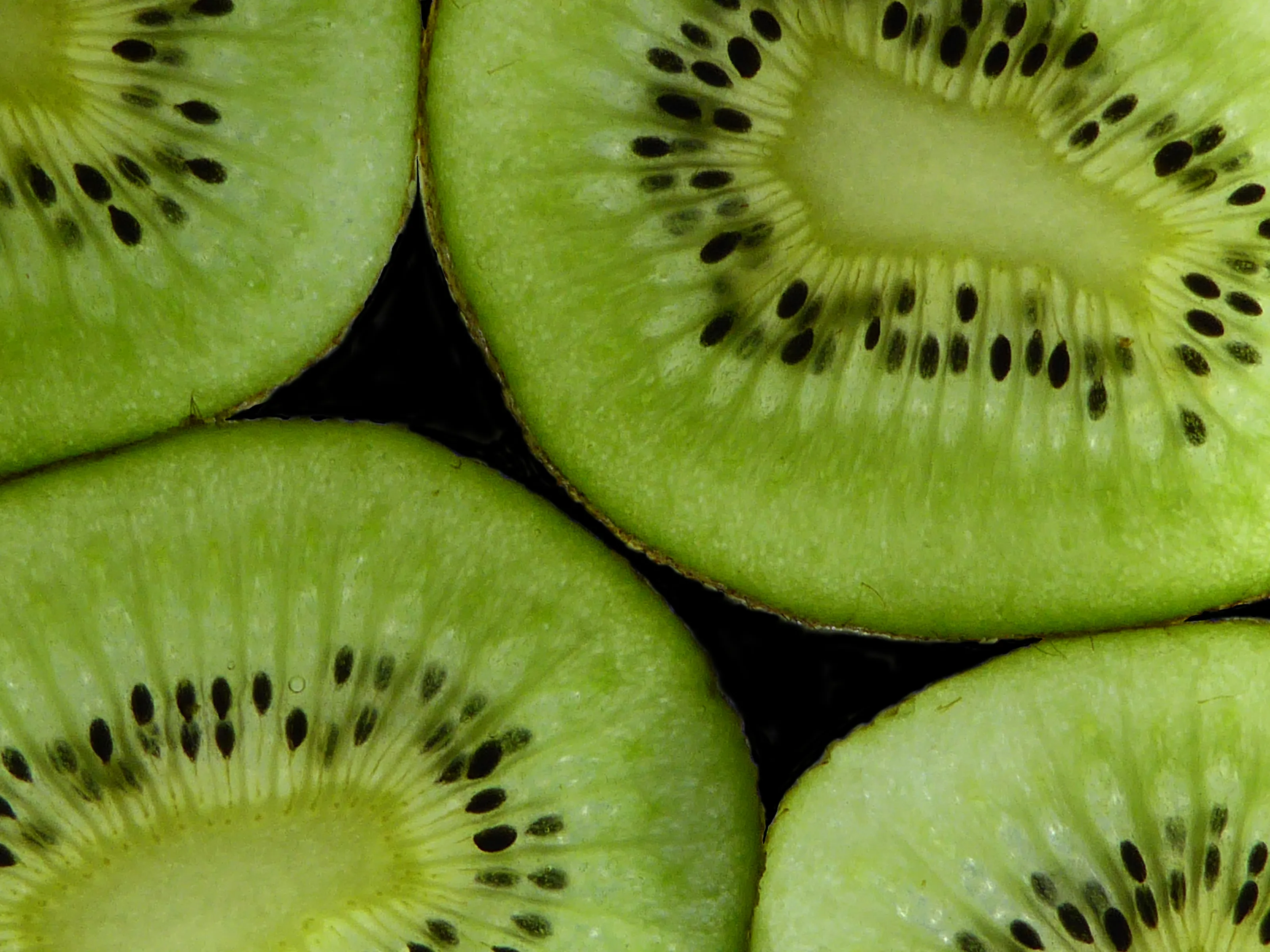 Kiwi Fruit In Colour