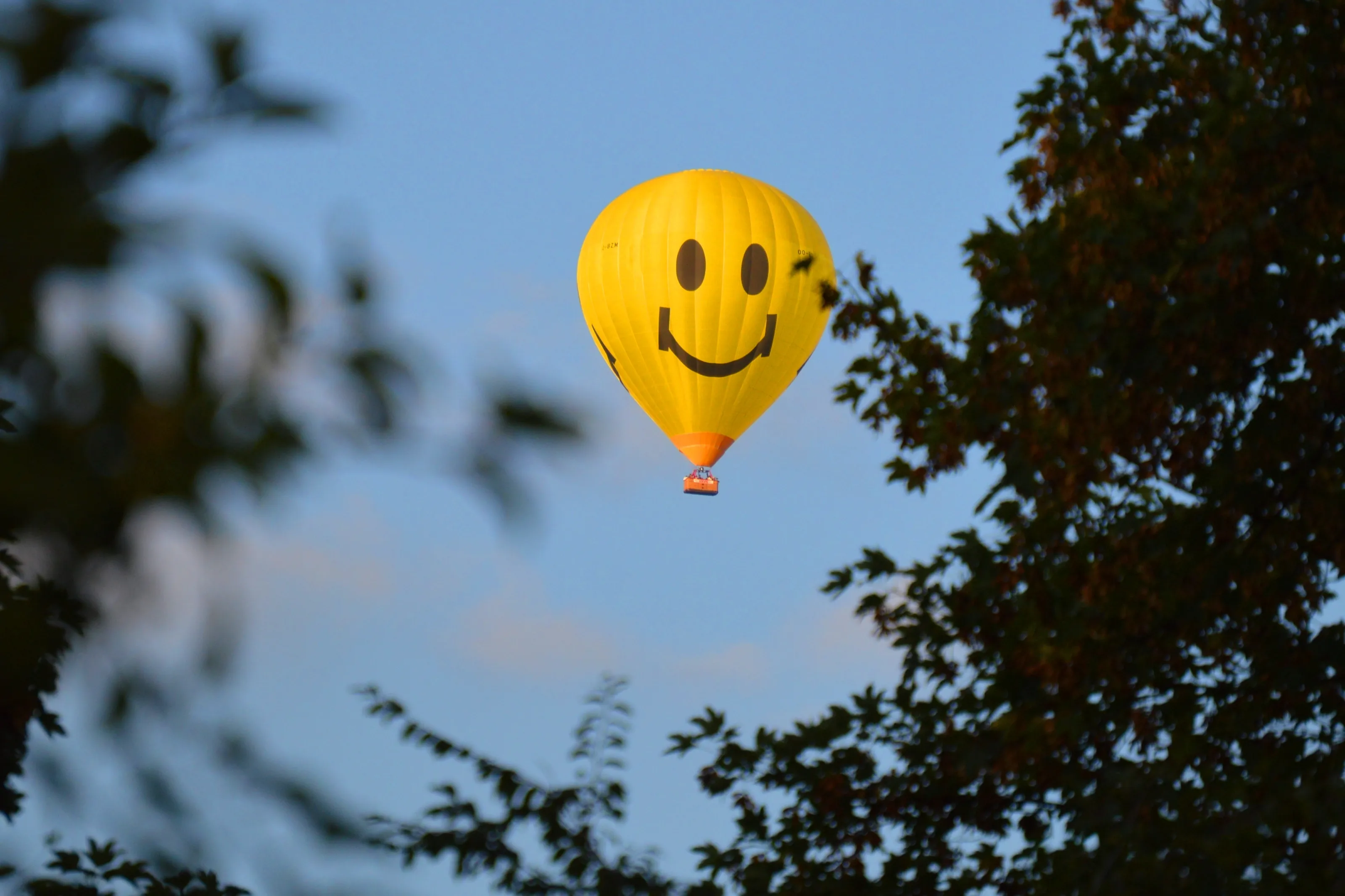 Smileys in Colour (no people)