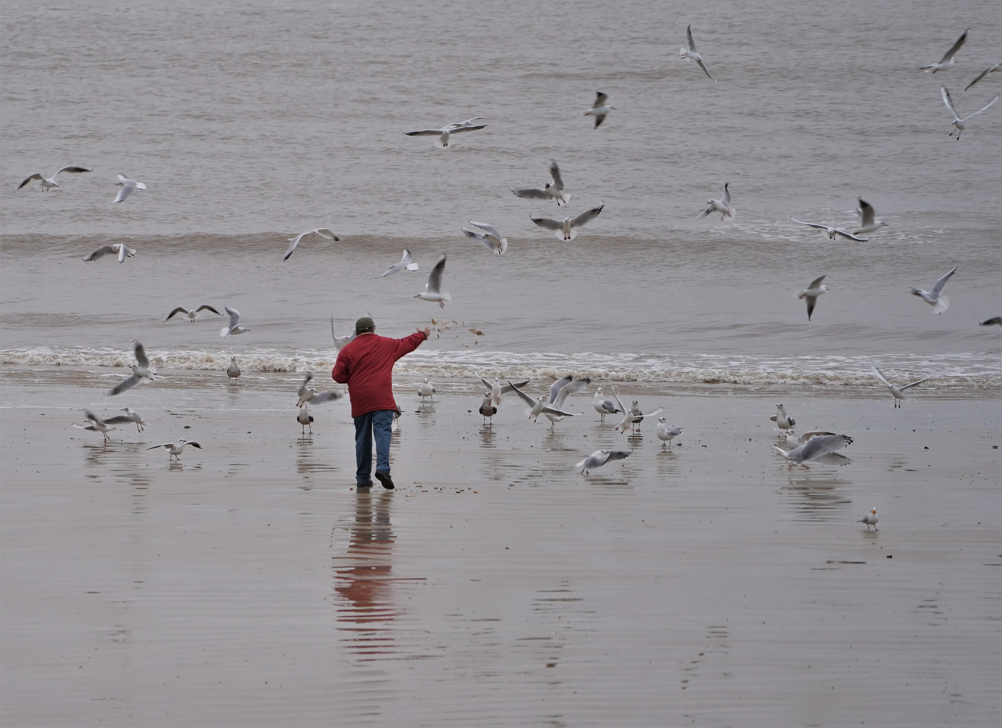 Something at the Sea's Edge