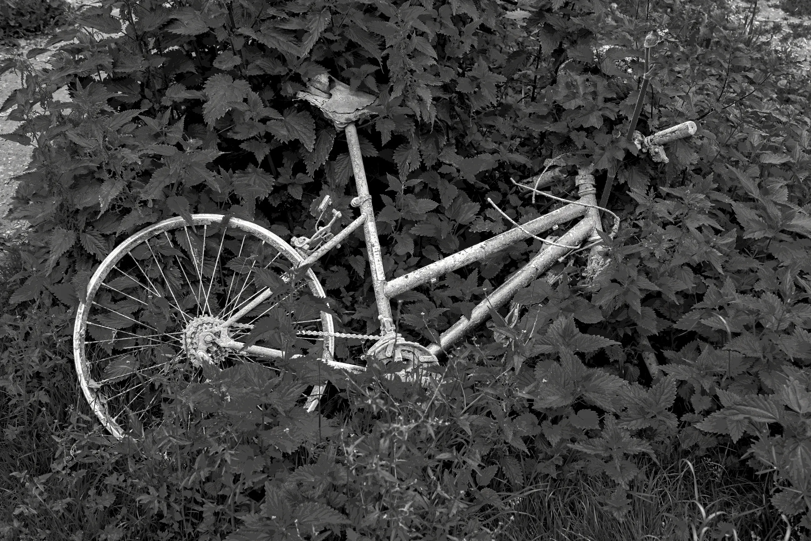 One Bicycle - No Rider