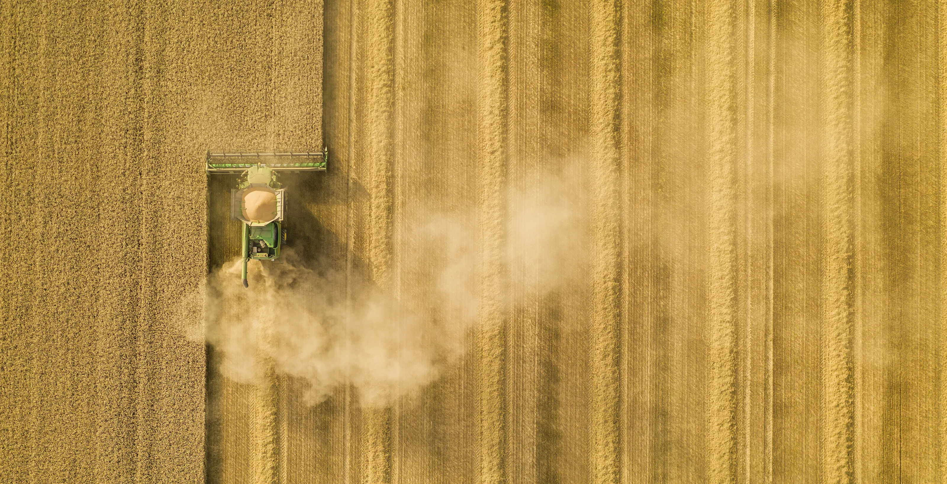 From above (drone or elevated shots)