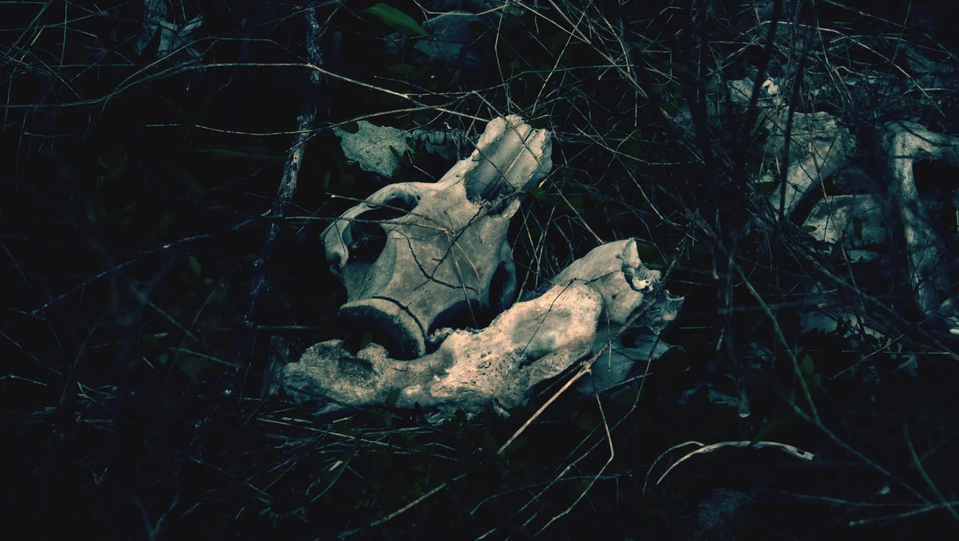Naturally Eerie