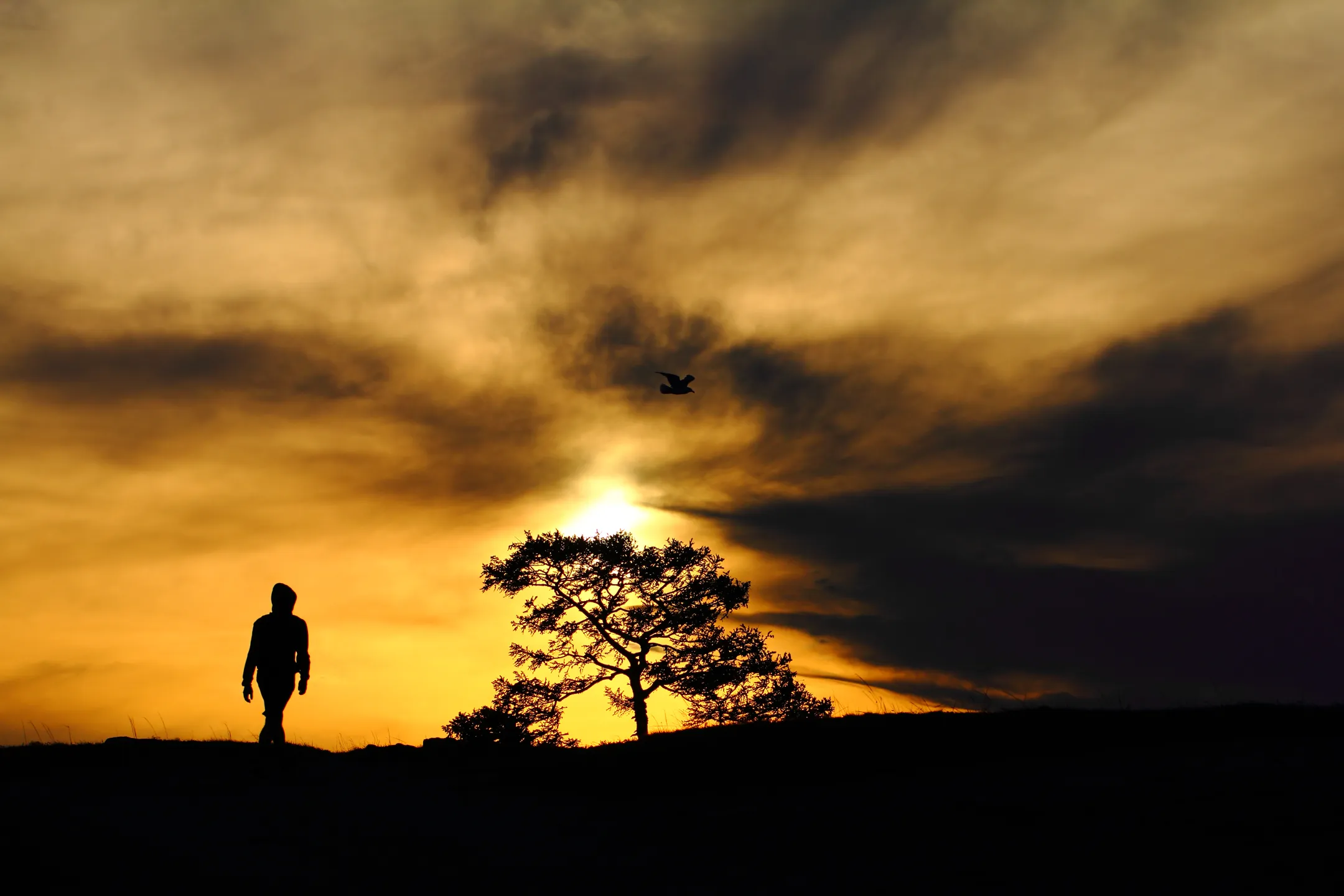 Creative Sunsets