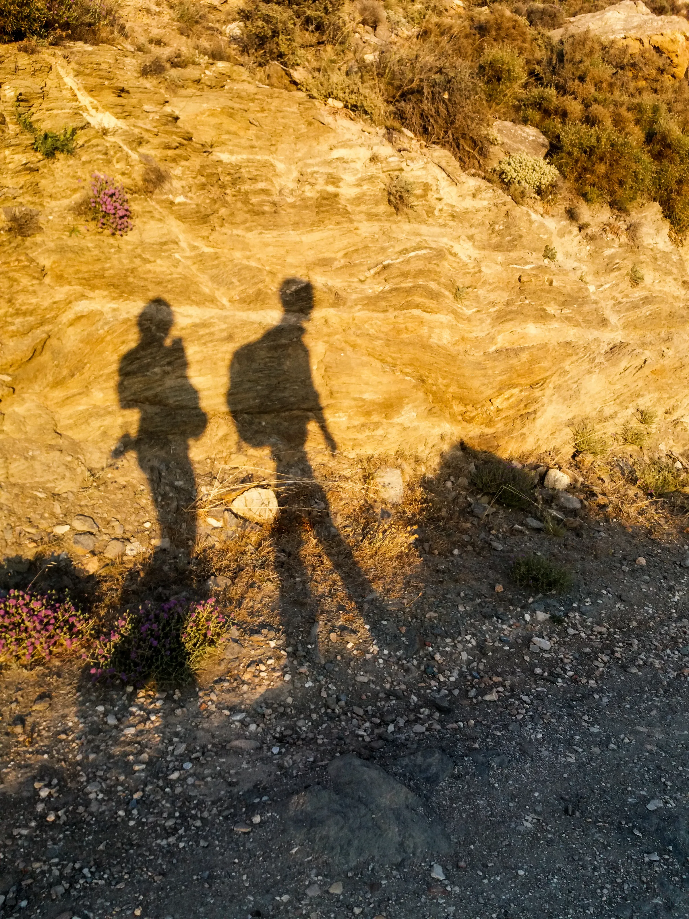 Shadows of People