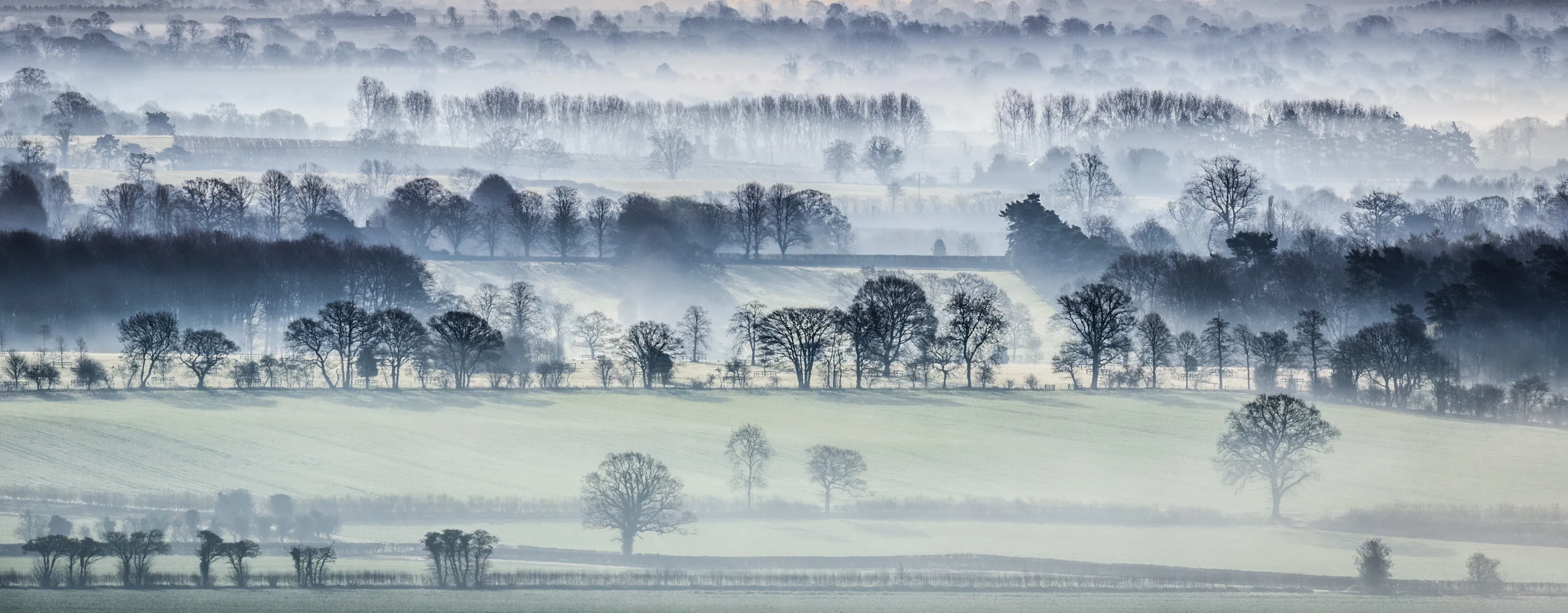 Fog and mist