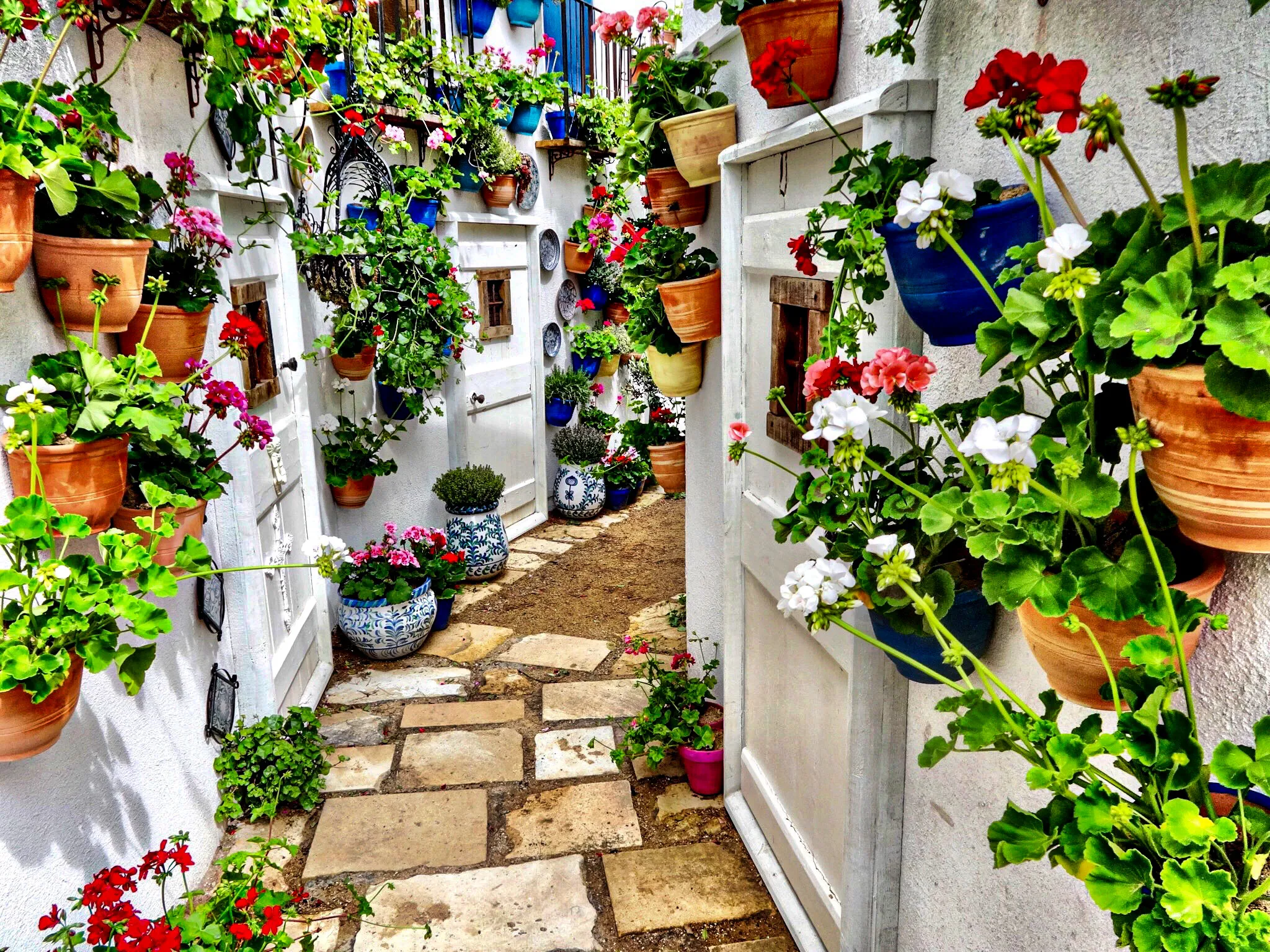 Spanish Gardens in Colour