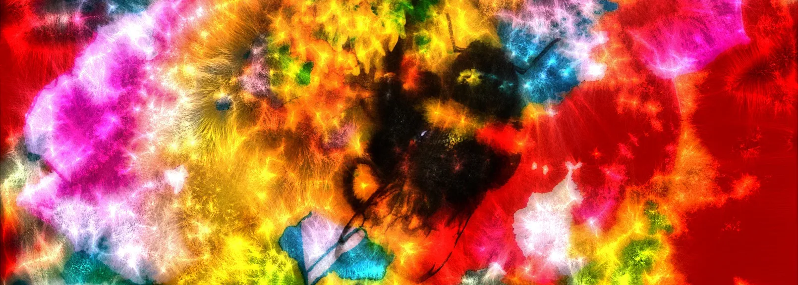 Colourful Bee Abstracts