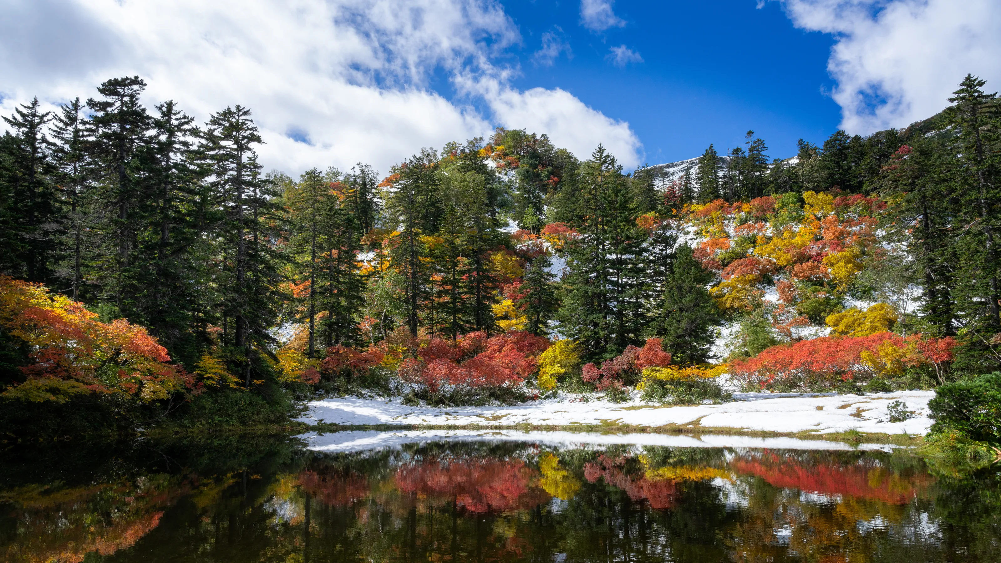 Multiple Seasons (in colour)