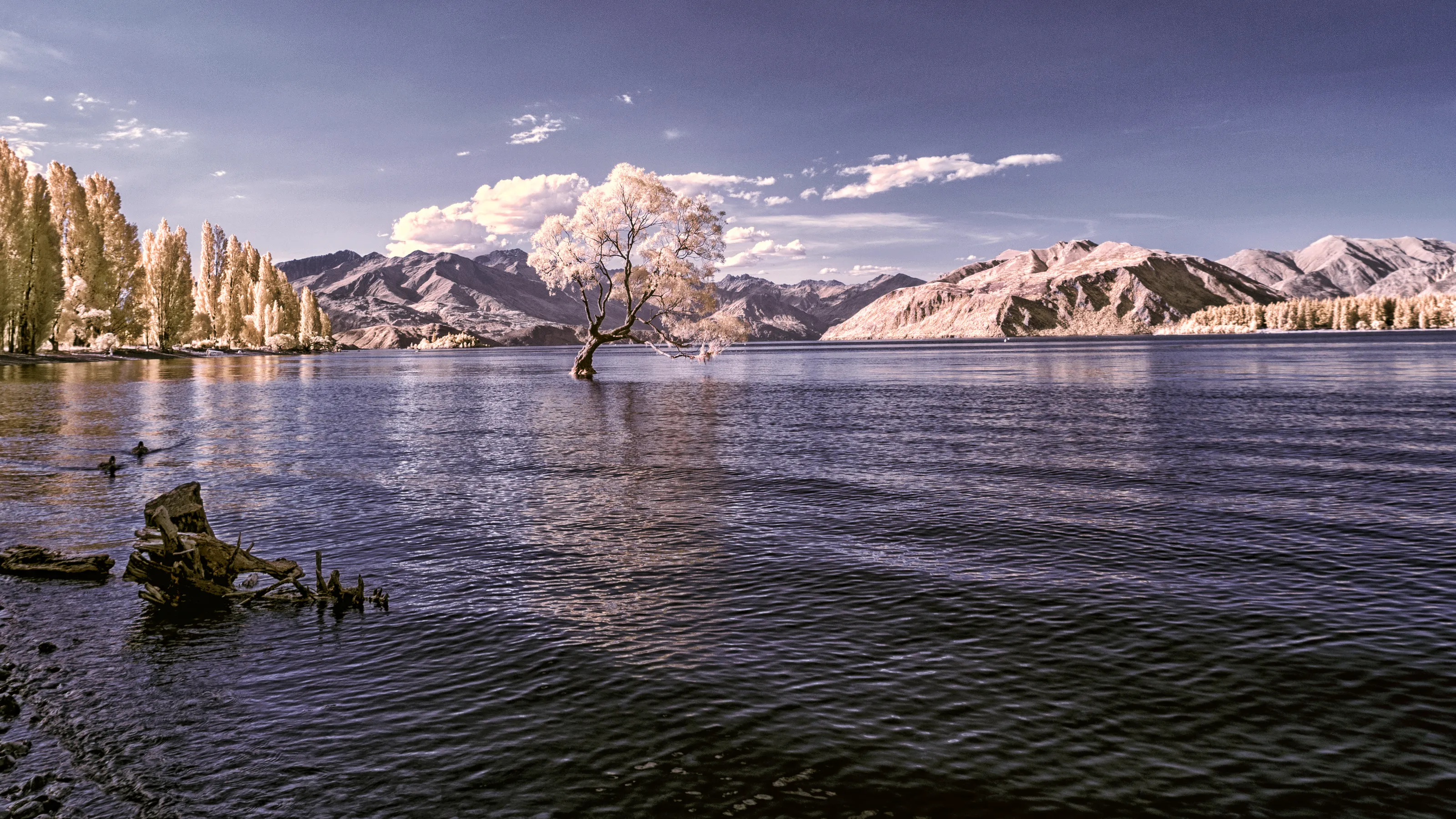 Infrared Landscapes in Colour
