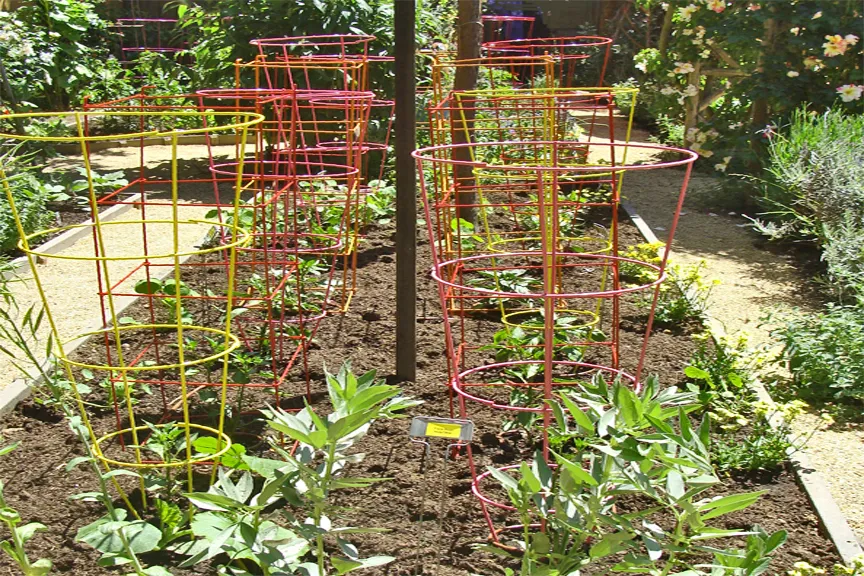 Vegetable Gardens in Colour