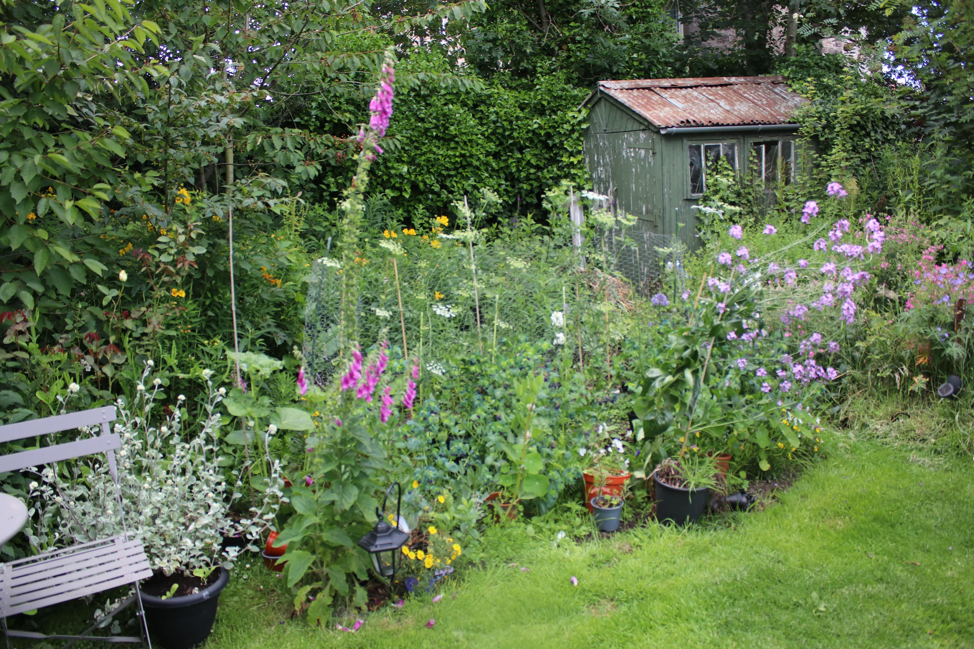 Summertime in the Garden