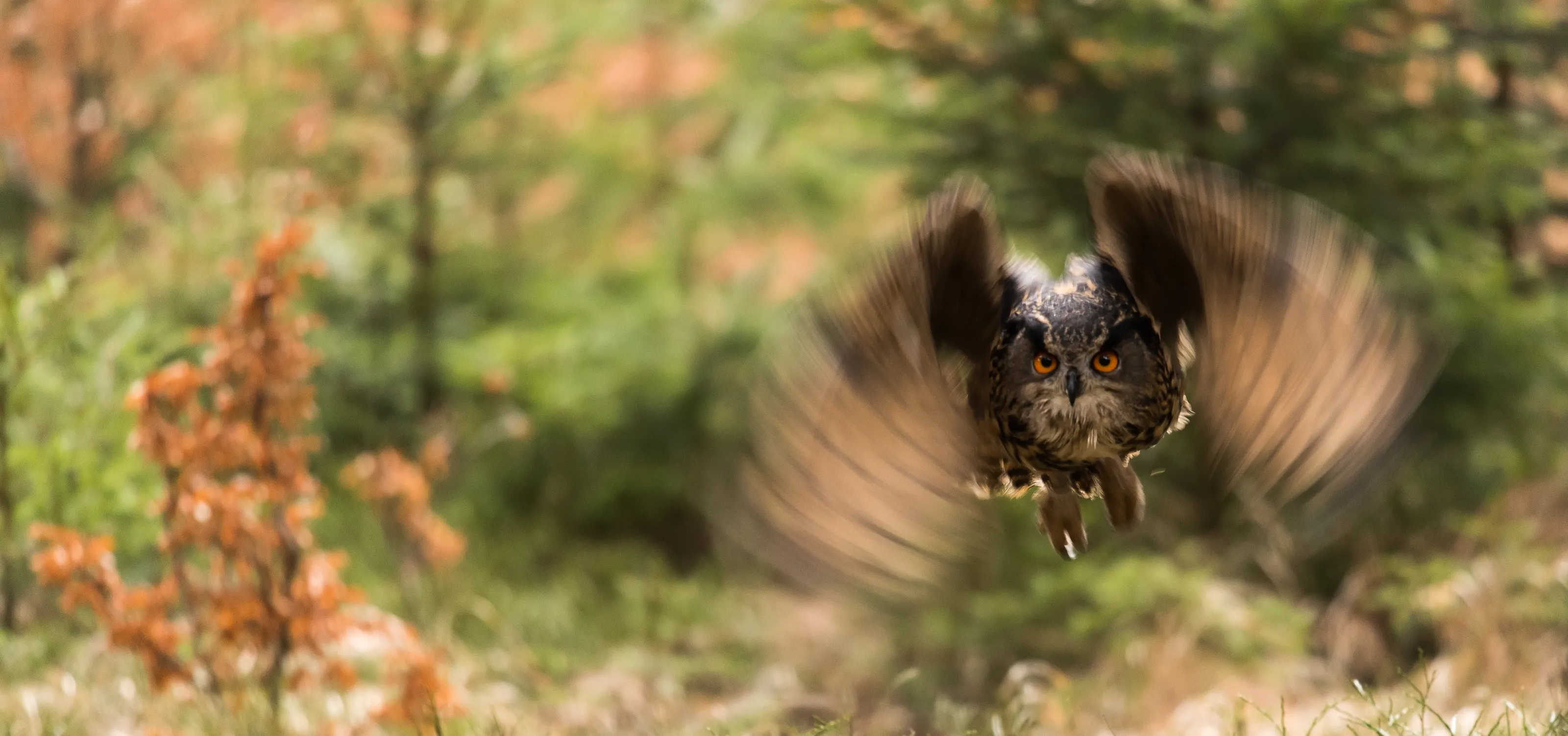Motion blur