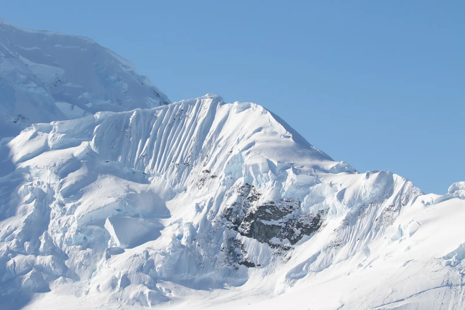 Antarctica, South Georgia and the Falkland Islands