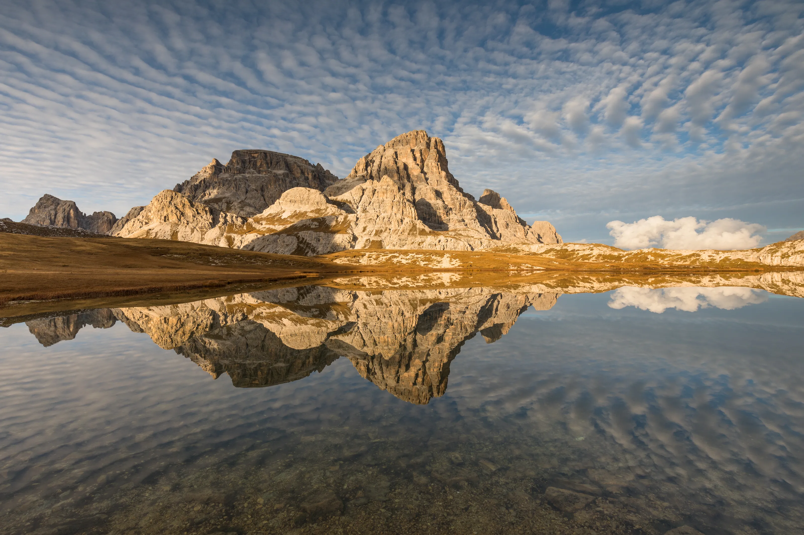 Reflections