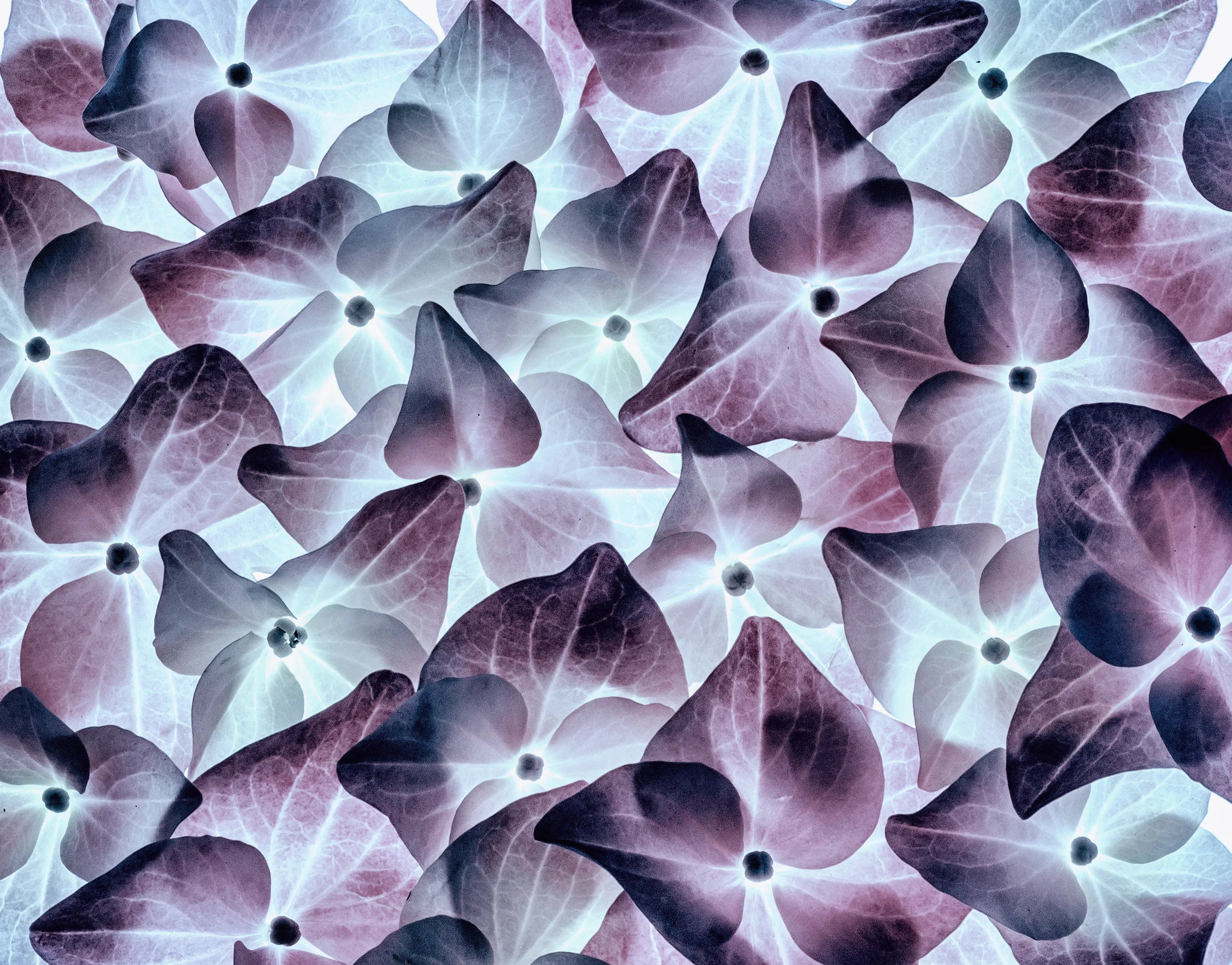Patterns and repetition