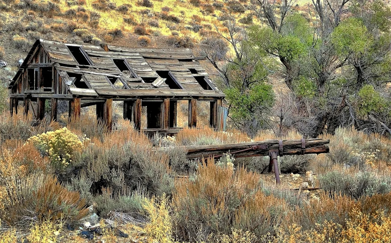 Derelict and Abandoned Buildings