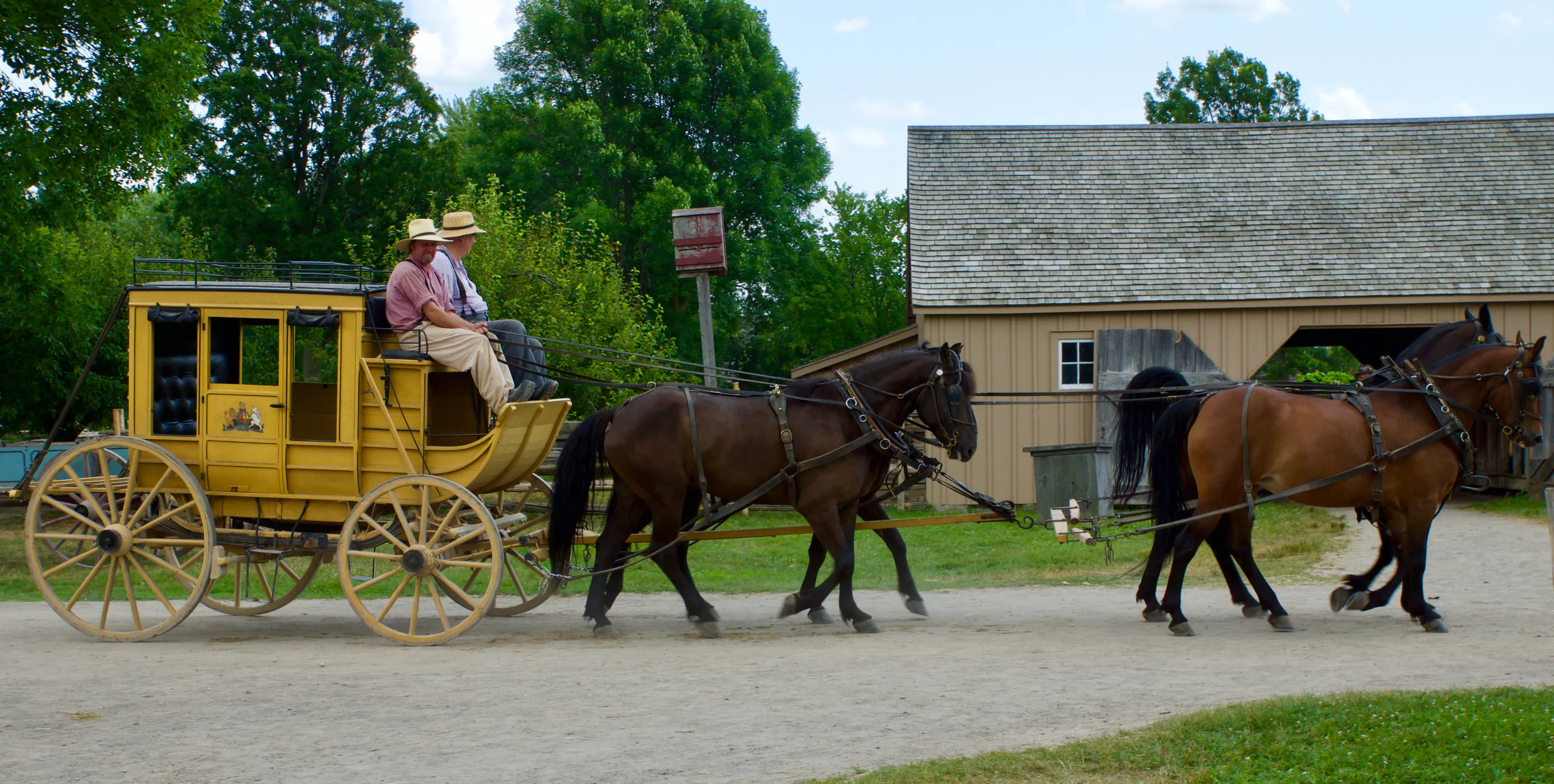 Horse-Drawn Carriages