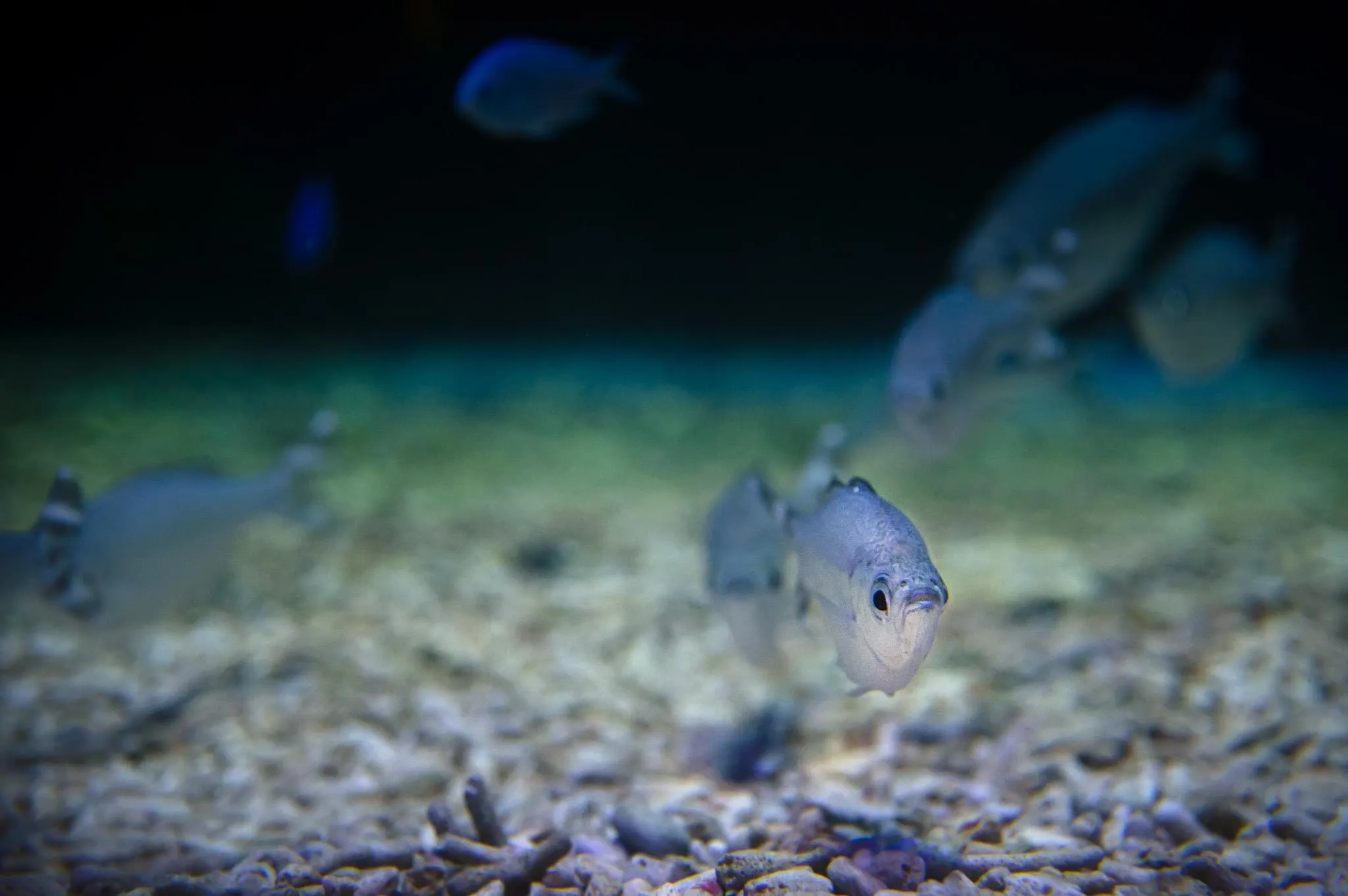 Under Water