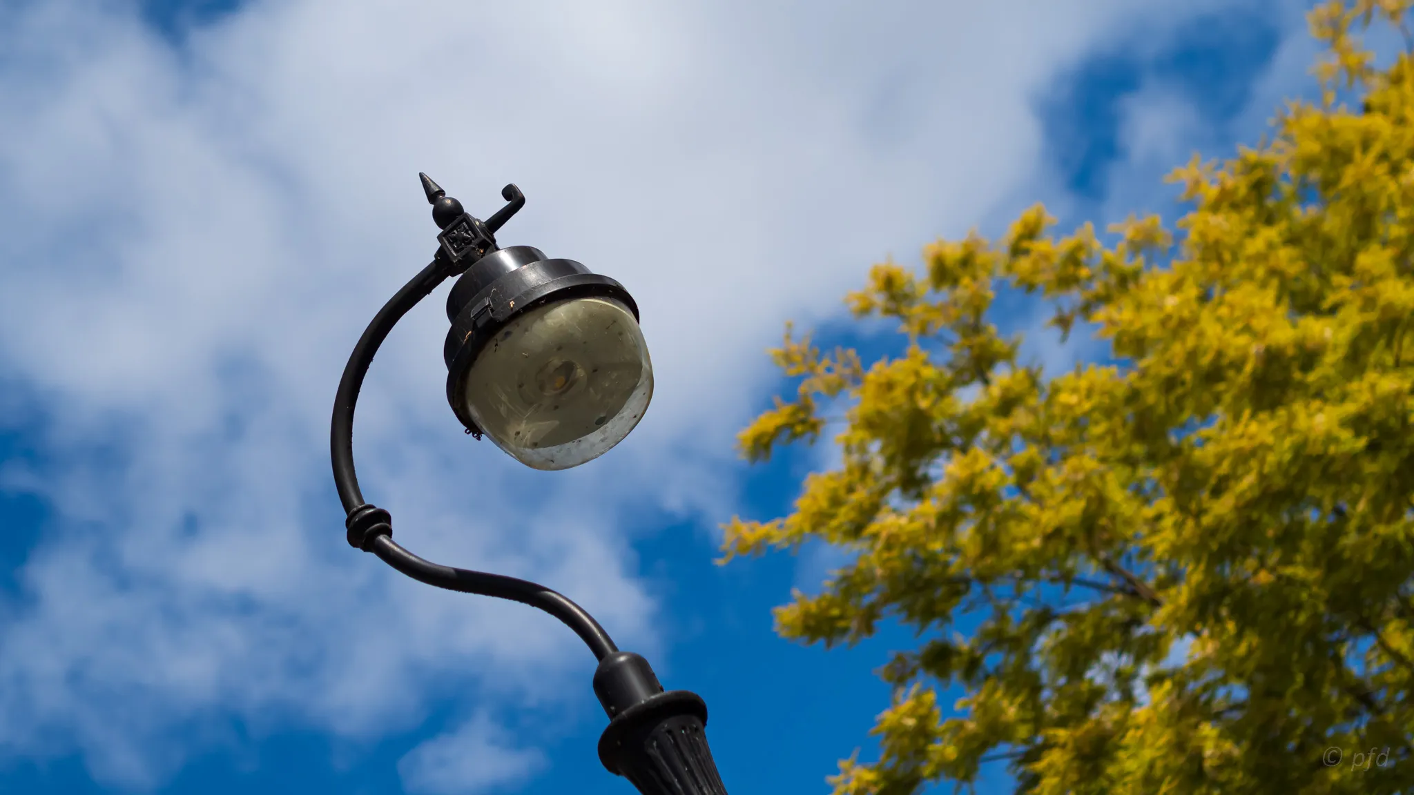 The Urban Lamppost
