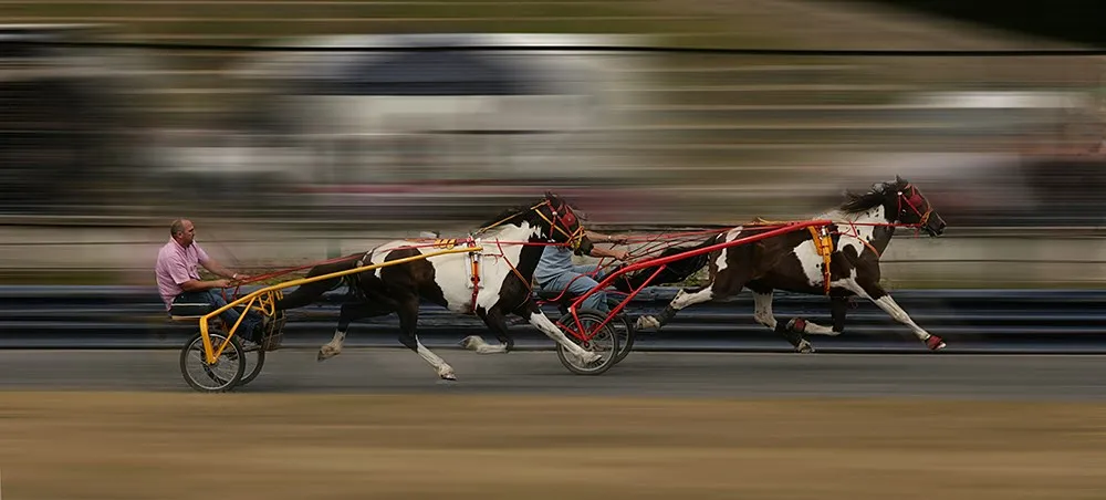 Horses With Spots
