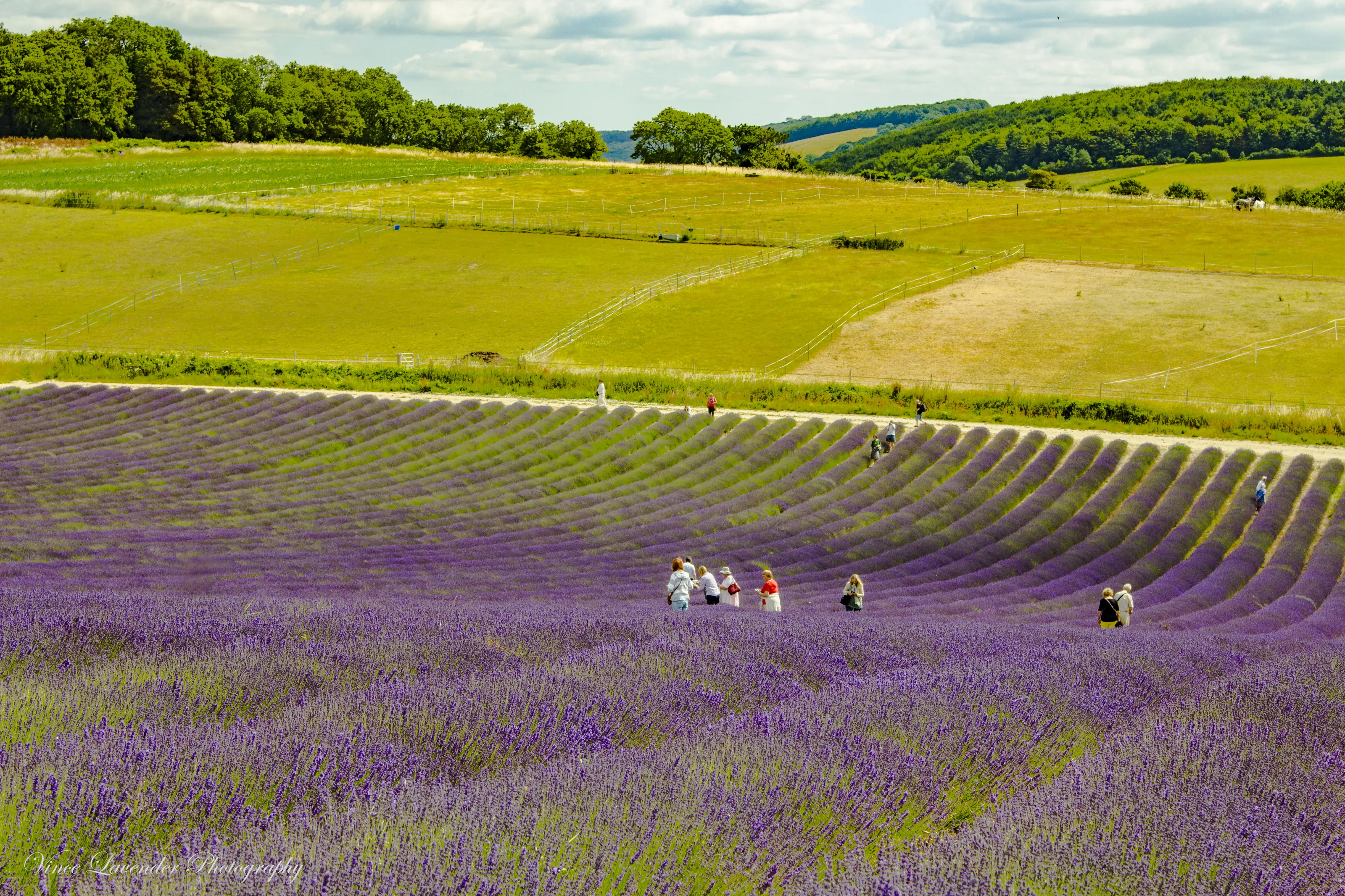 People In The Landscape (in colour)
