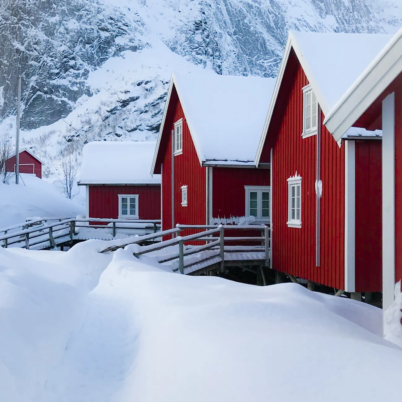 Snowy Landscapes (no people)