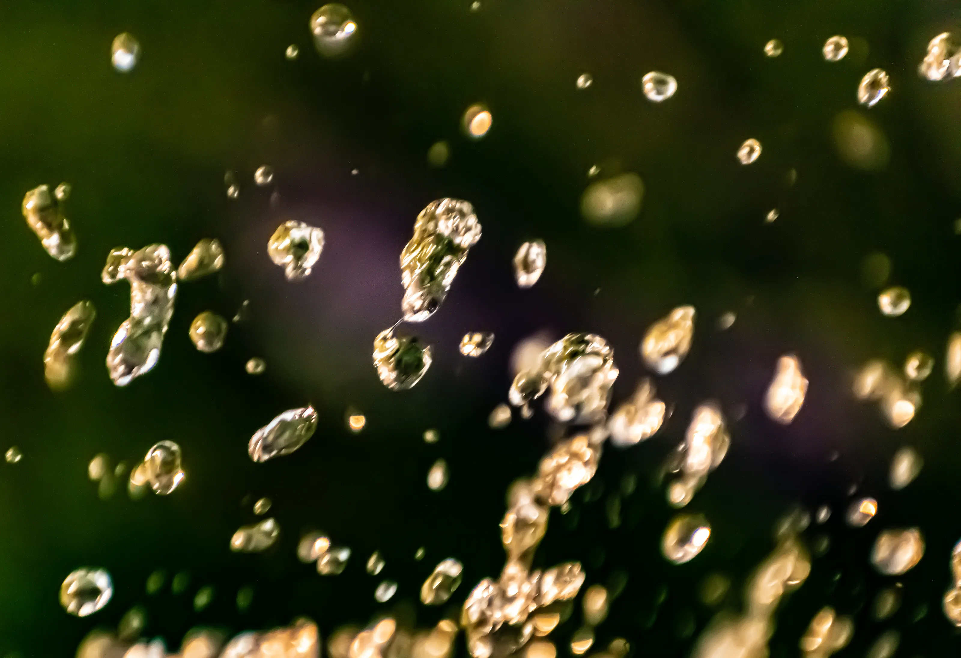 Water Drops In Motion - No Splash